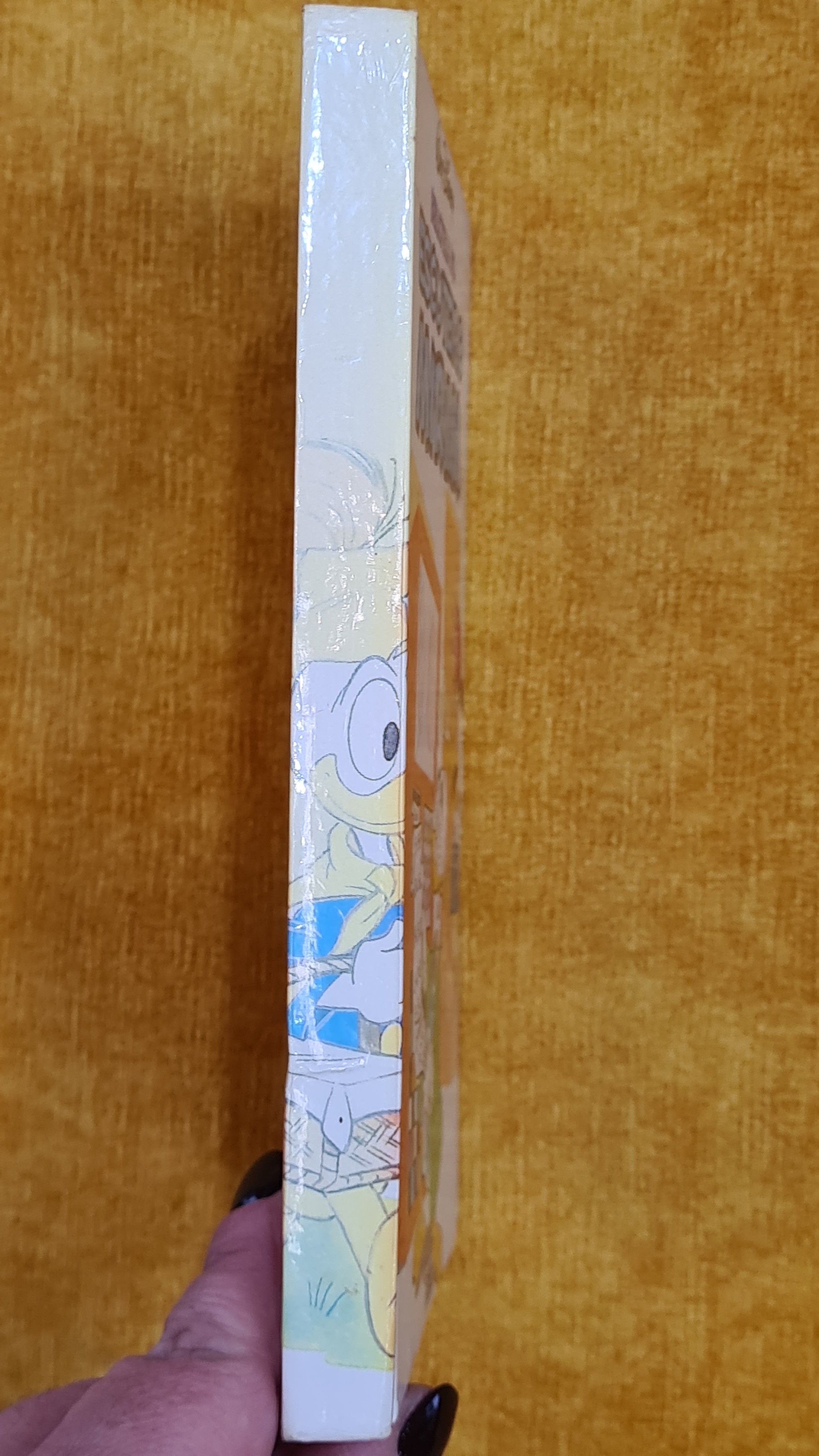 Biblioteca do Escuteiro Mirim 12