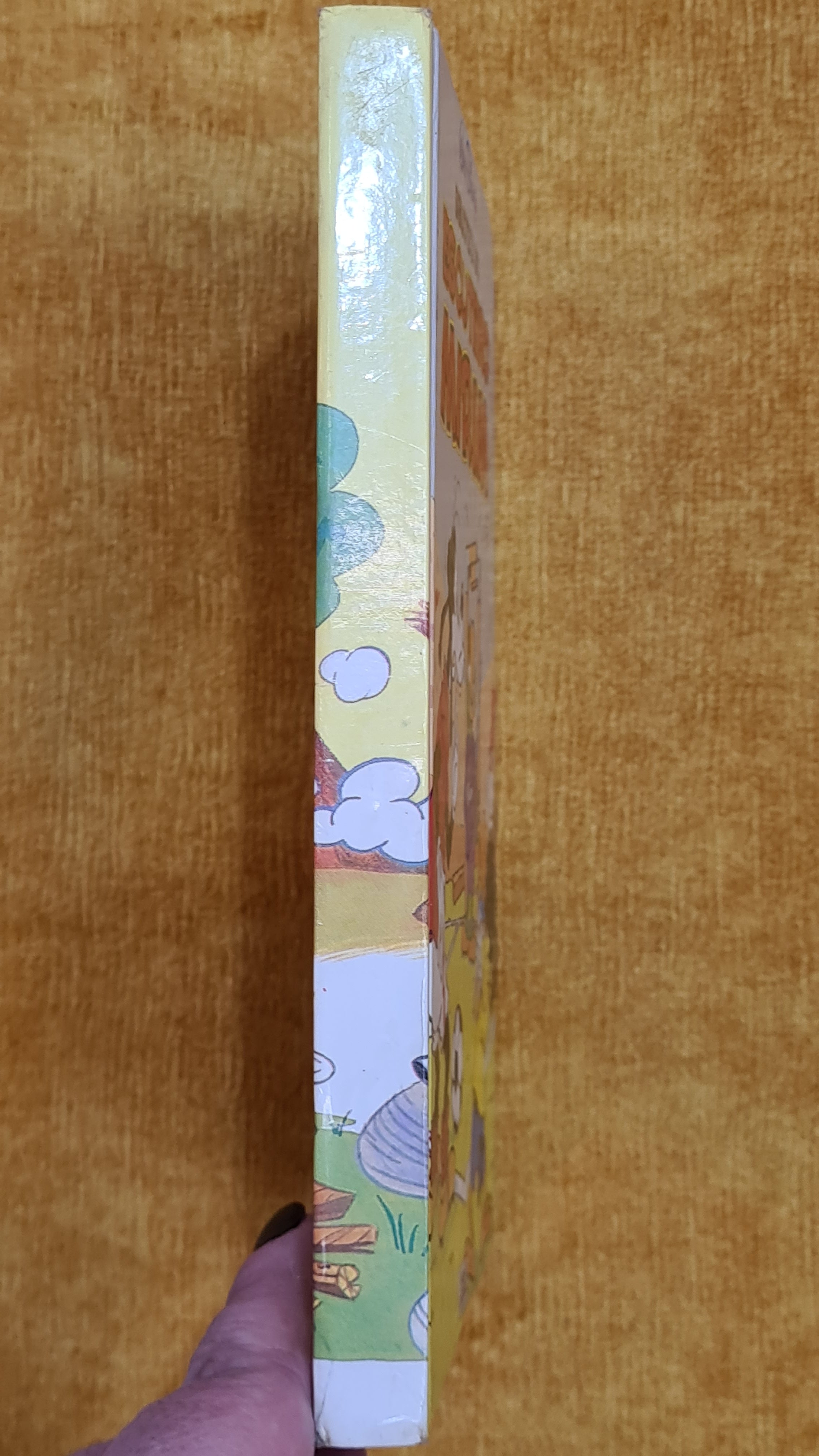 Biblioteca do Escuteiro Mirim 5