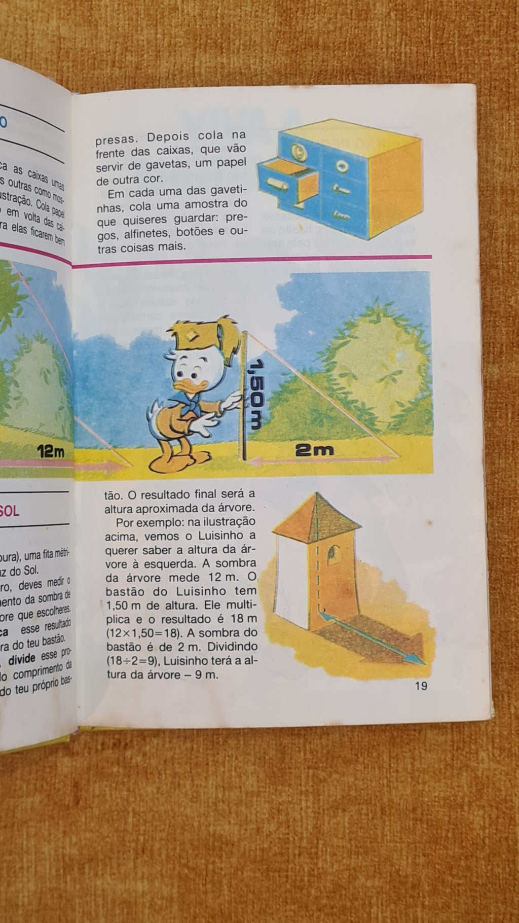 Biblioteca do Escuteiro Mirim 5