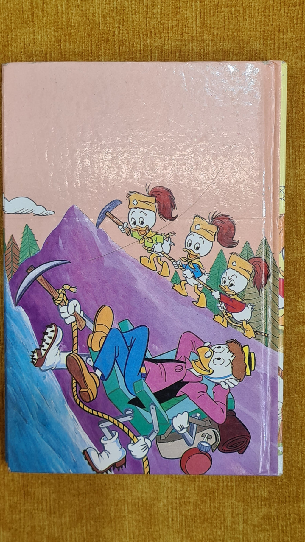Junior Scout Library 8