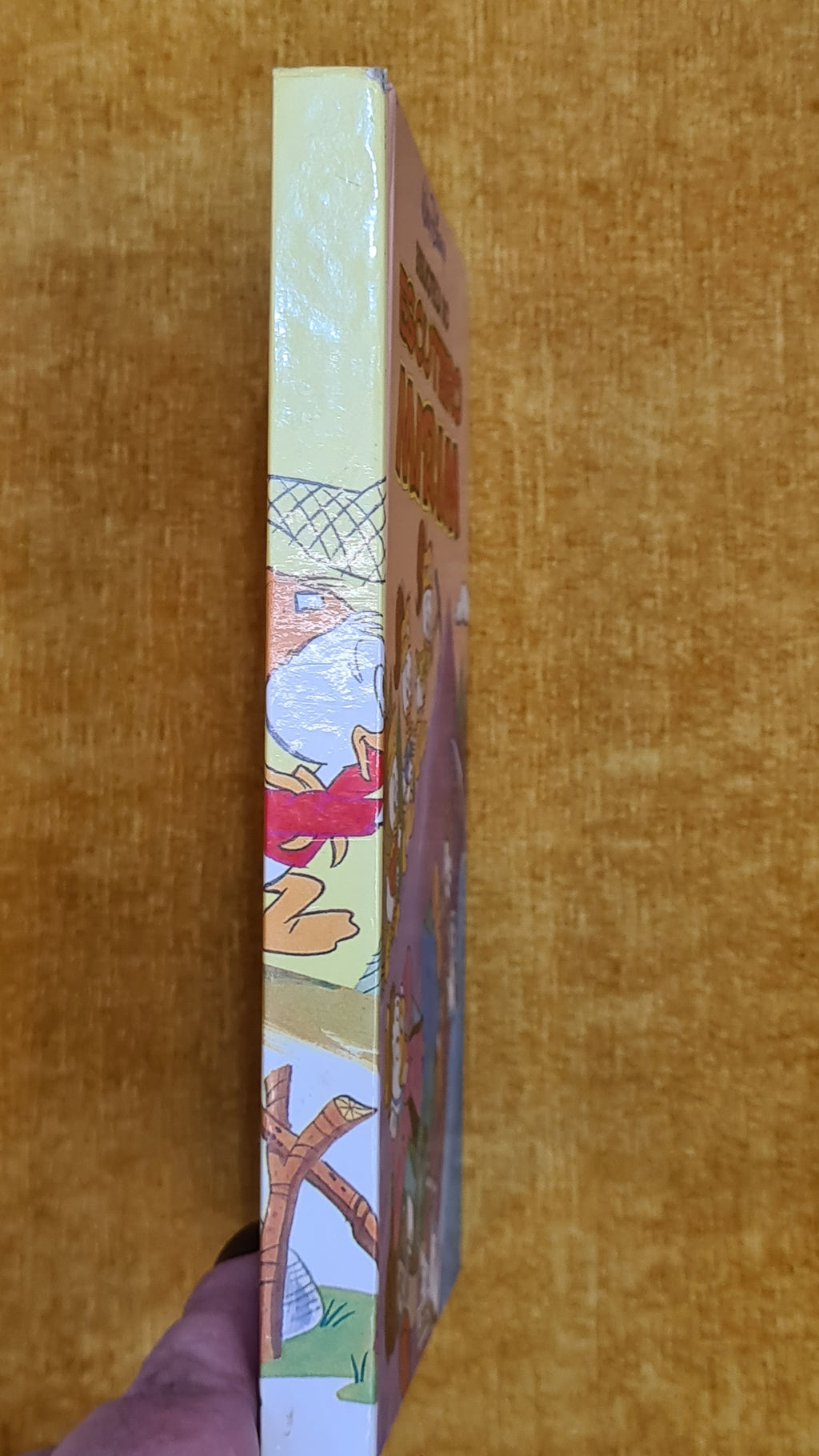 Junior Scout Library 8