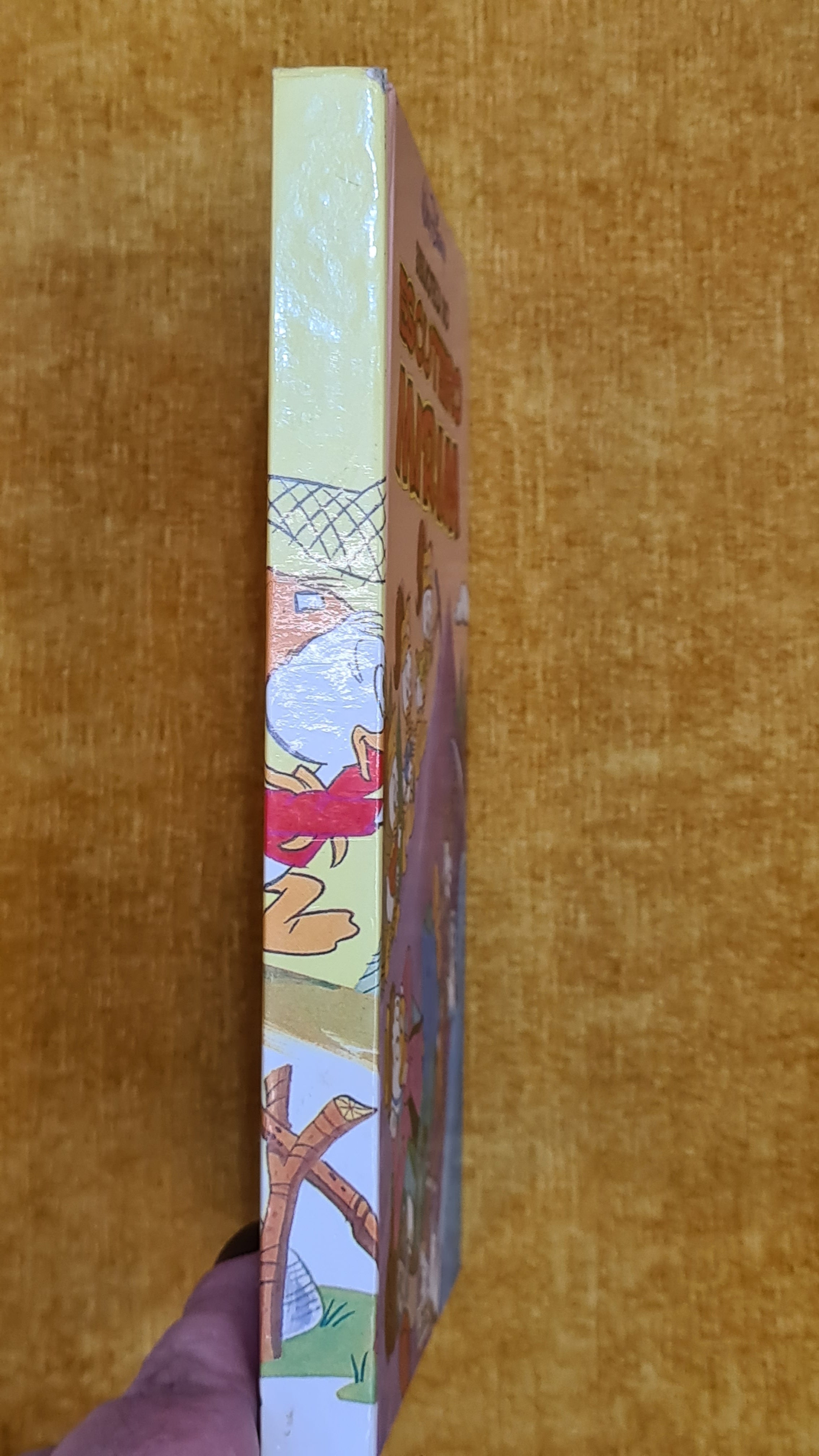 Biblioteca do Escuteiro Mirim 8