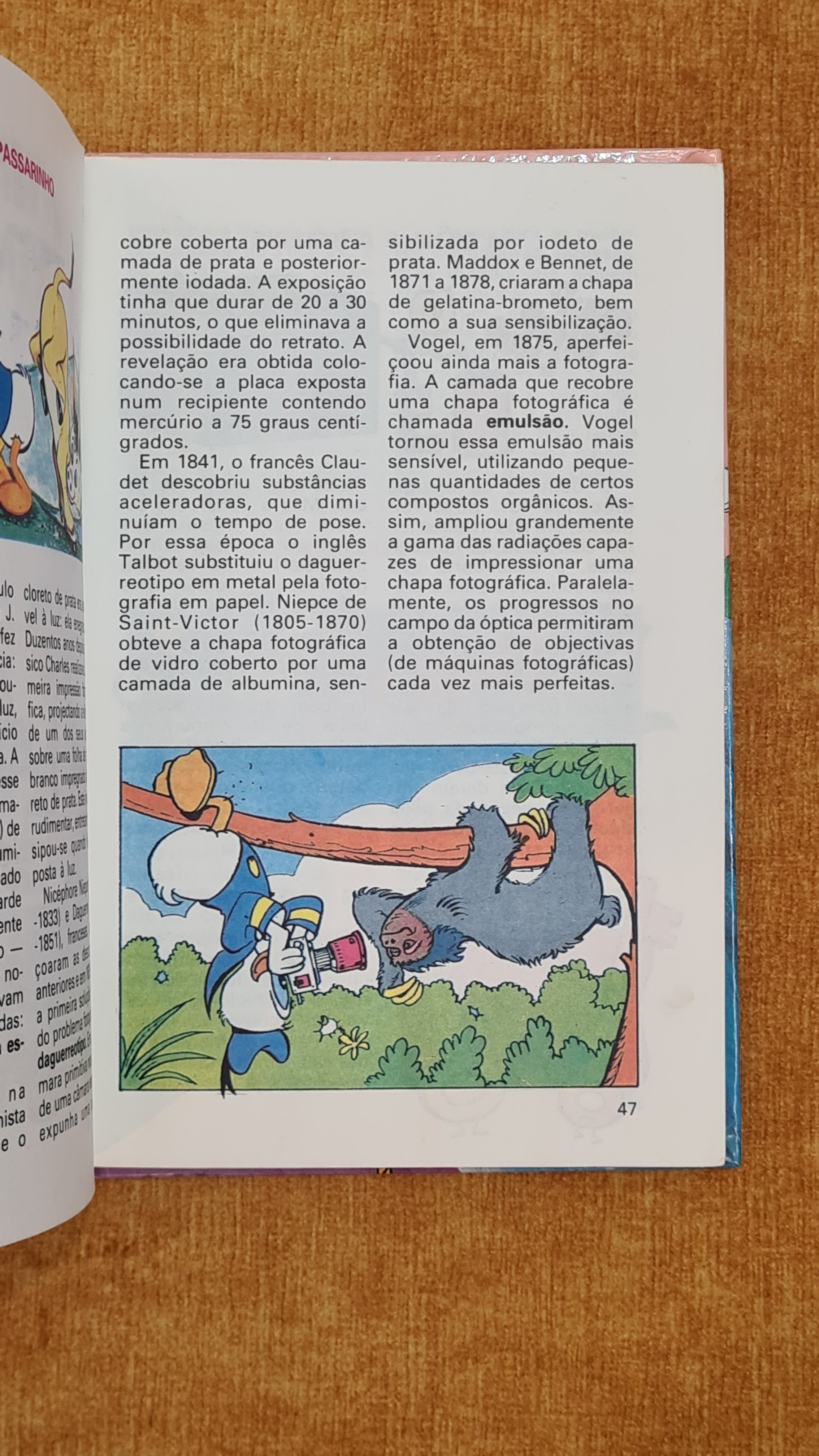 Biblioteca do Escuteiro Mirim 8