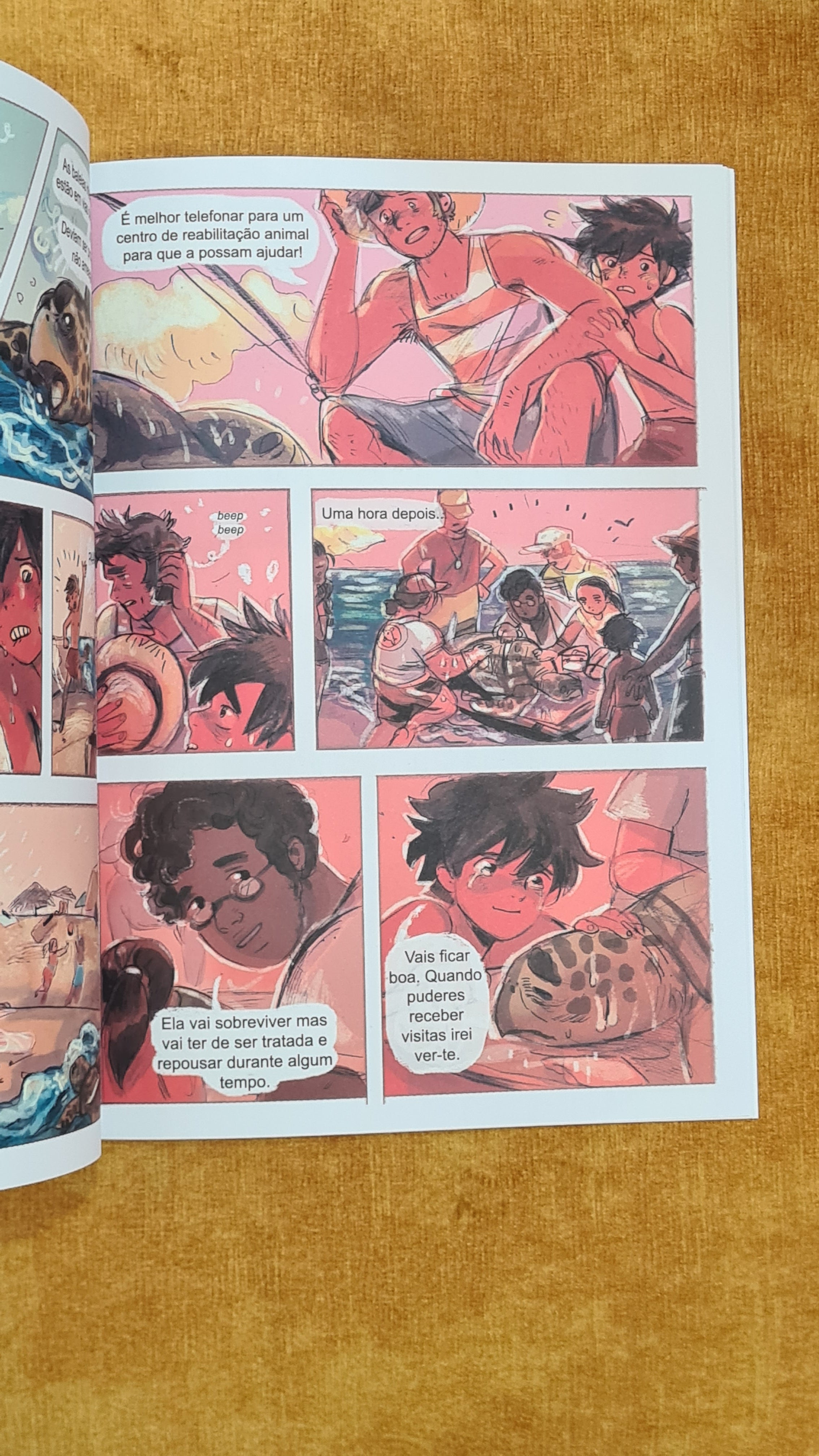 Descobrir os Oceanos