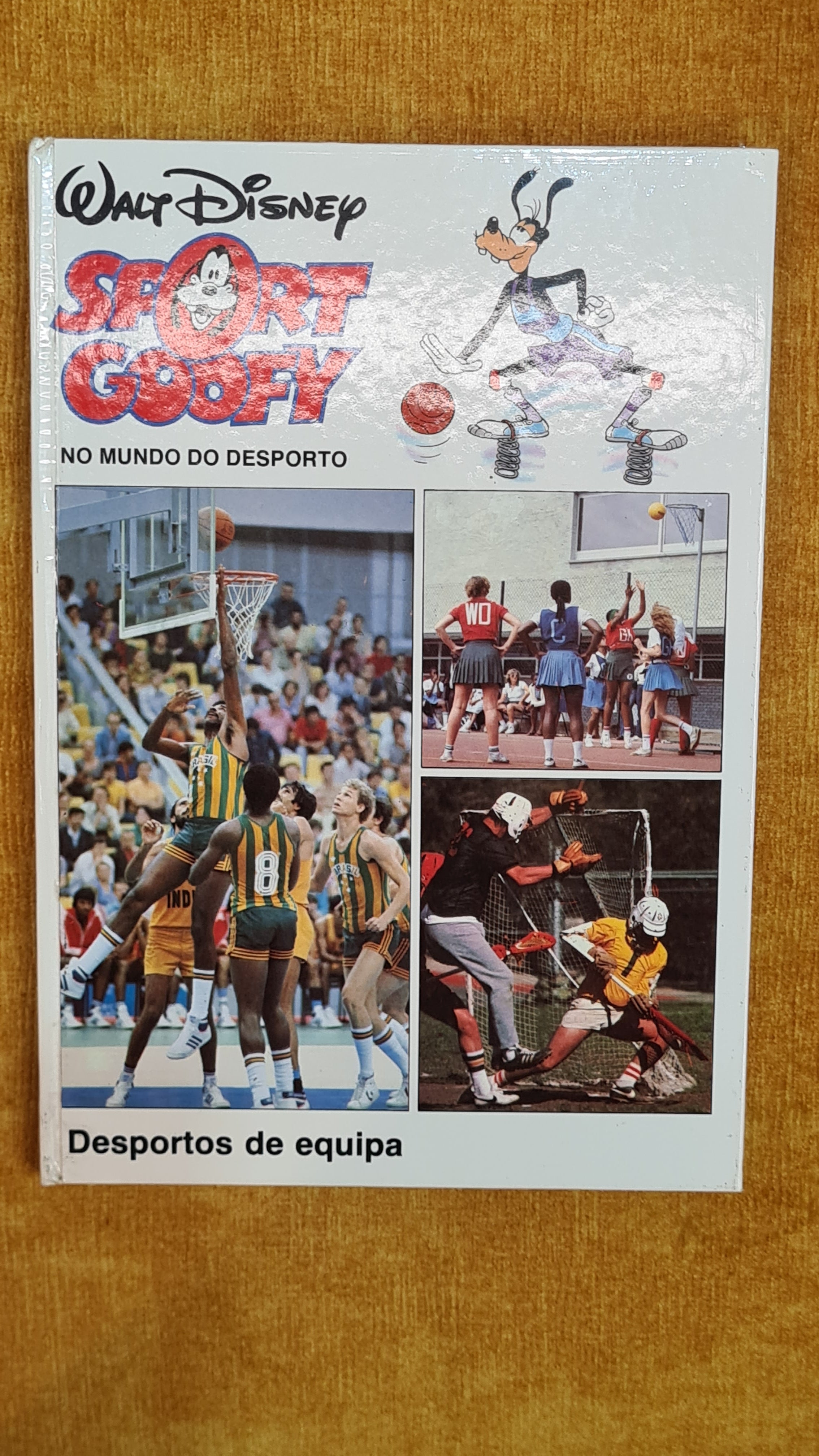 Sport Goofy - In the world of sports: team sports