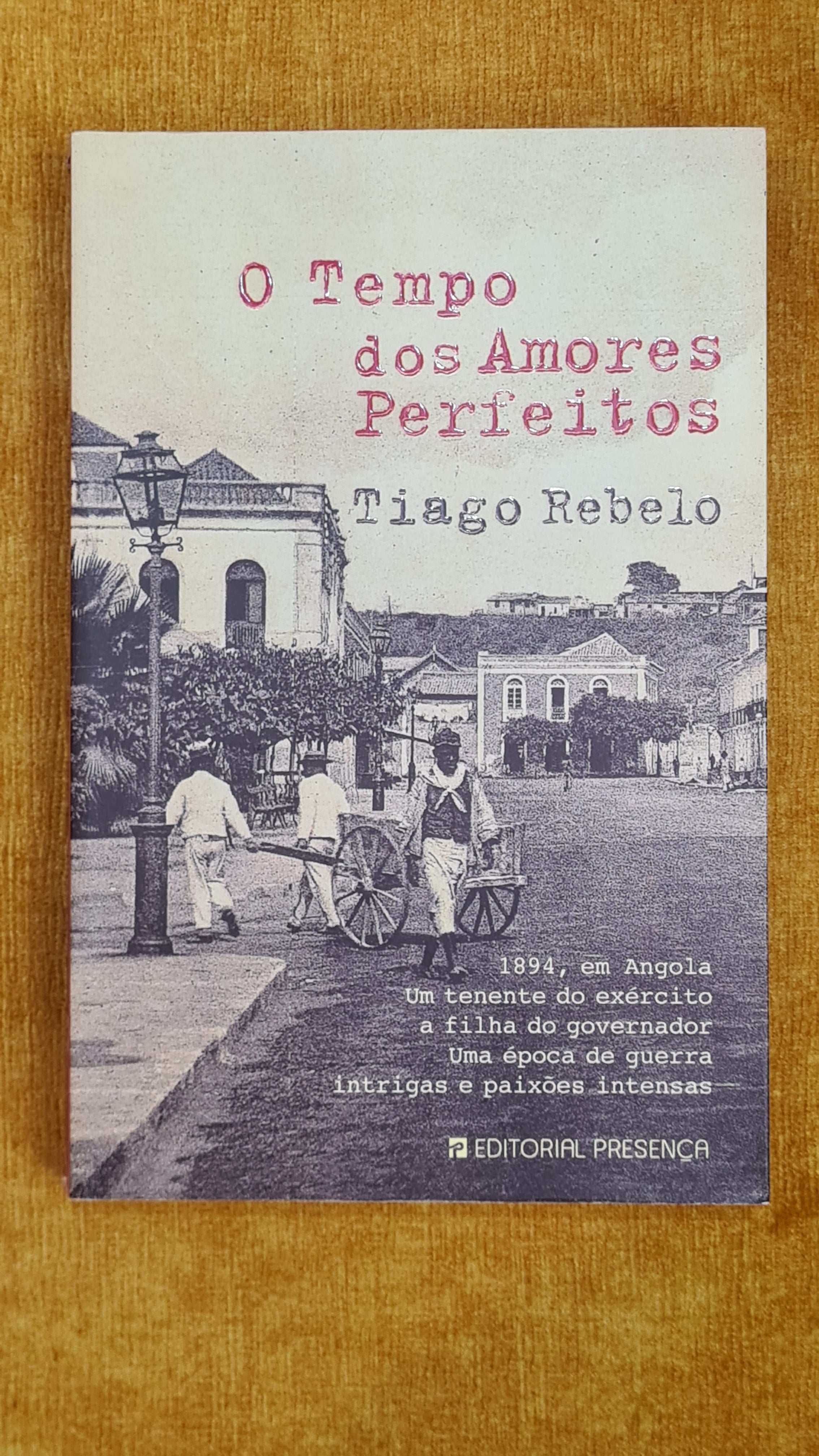O tempo dos amores perfeitos