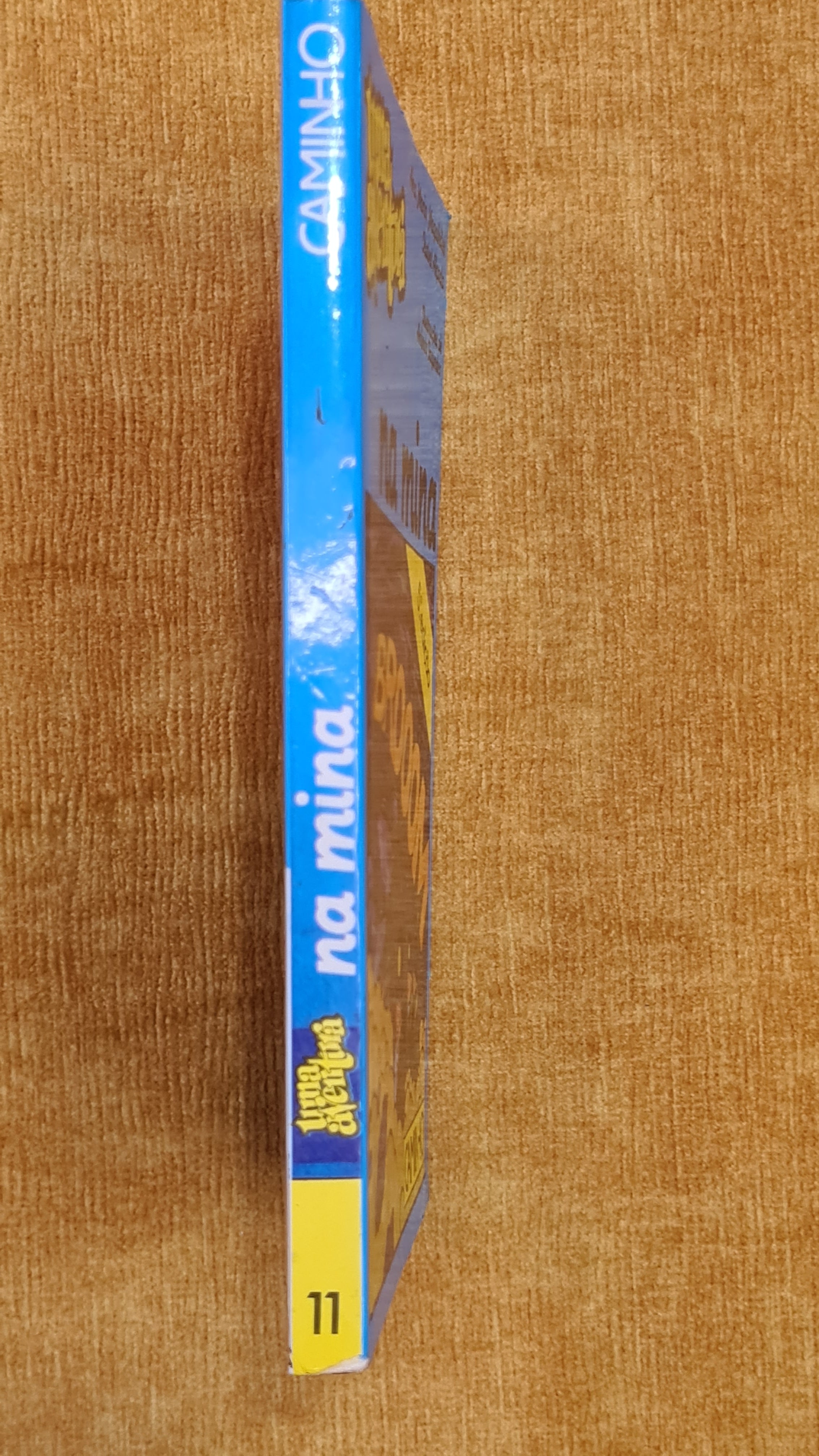 Uma aventura na mina 11