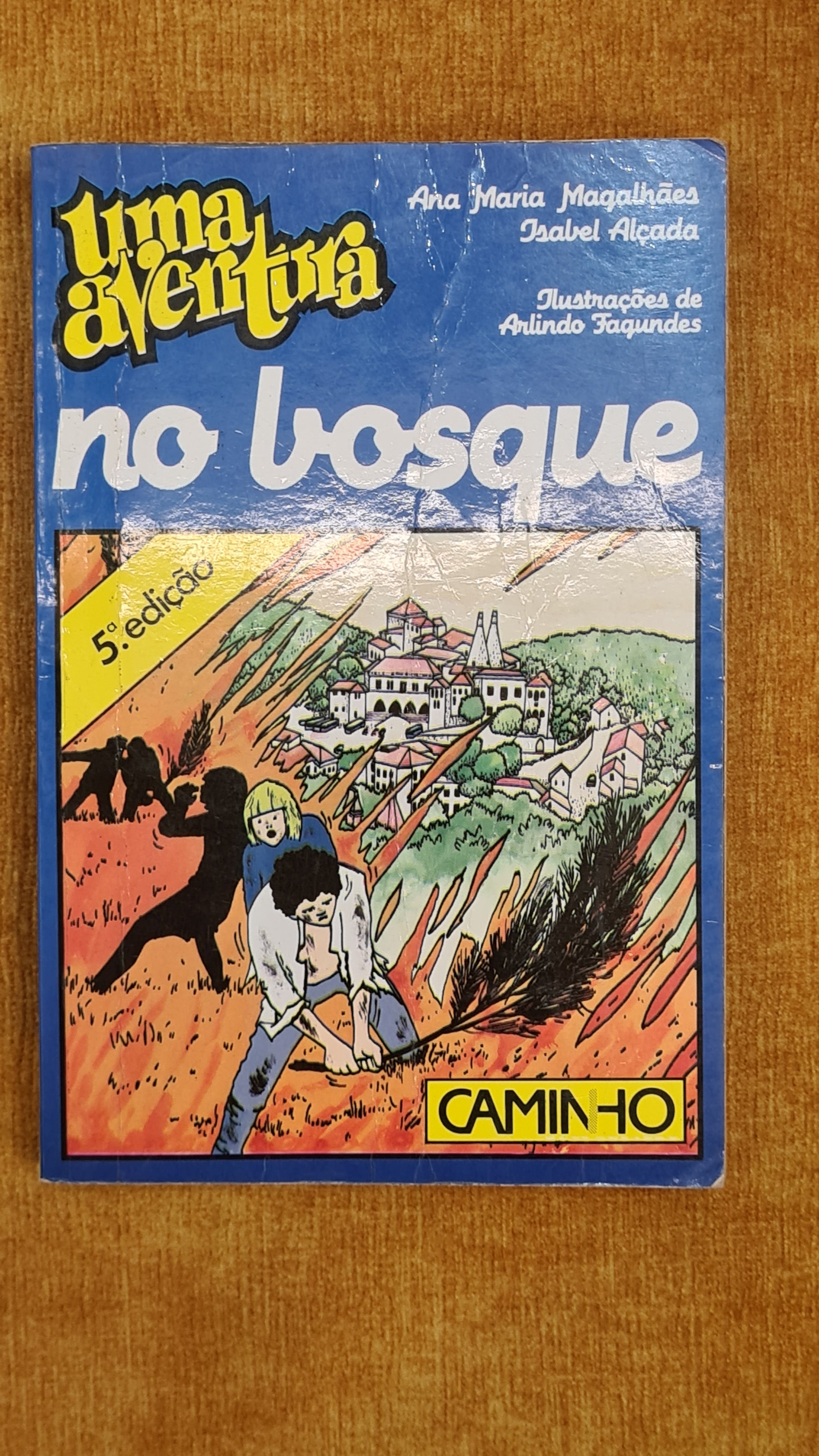An Adventure in Wood 5