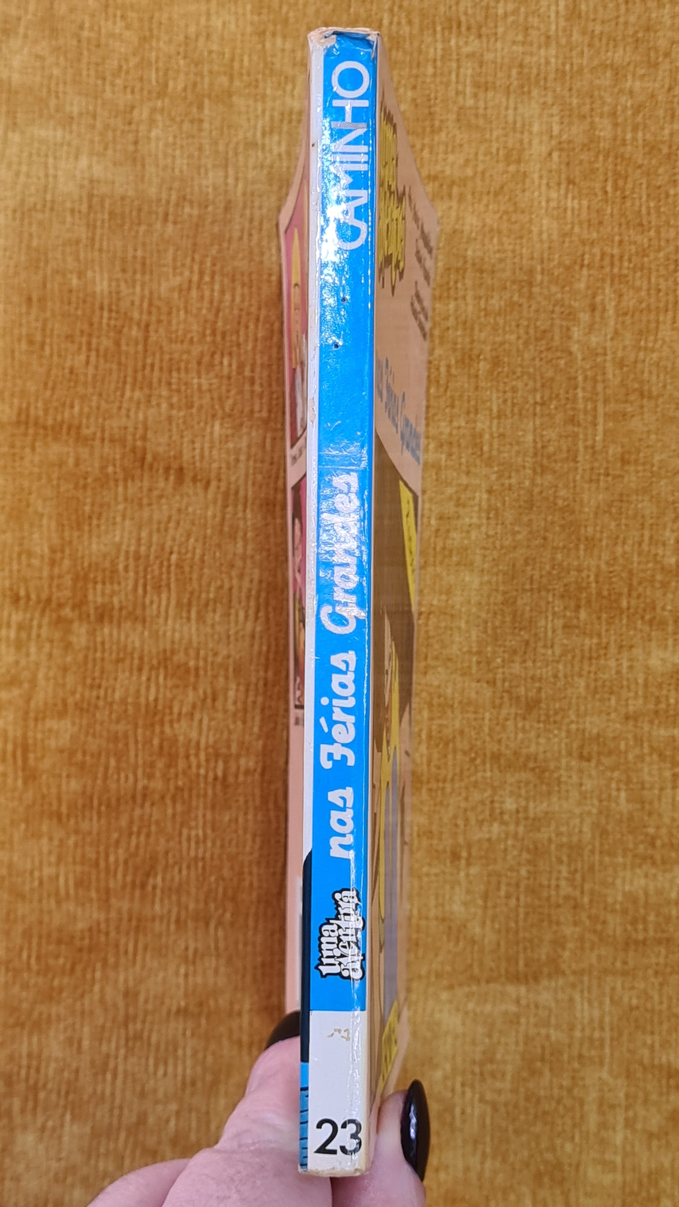 Uma aventura nas férias grandes 23