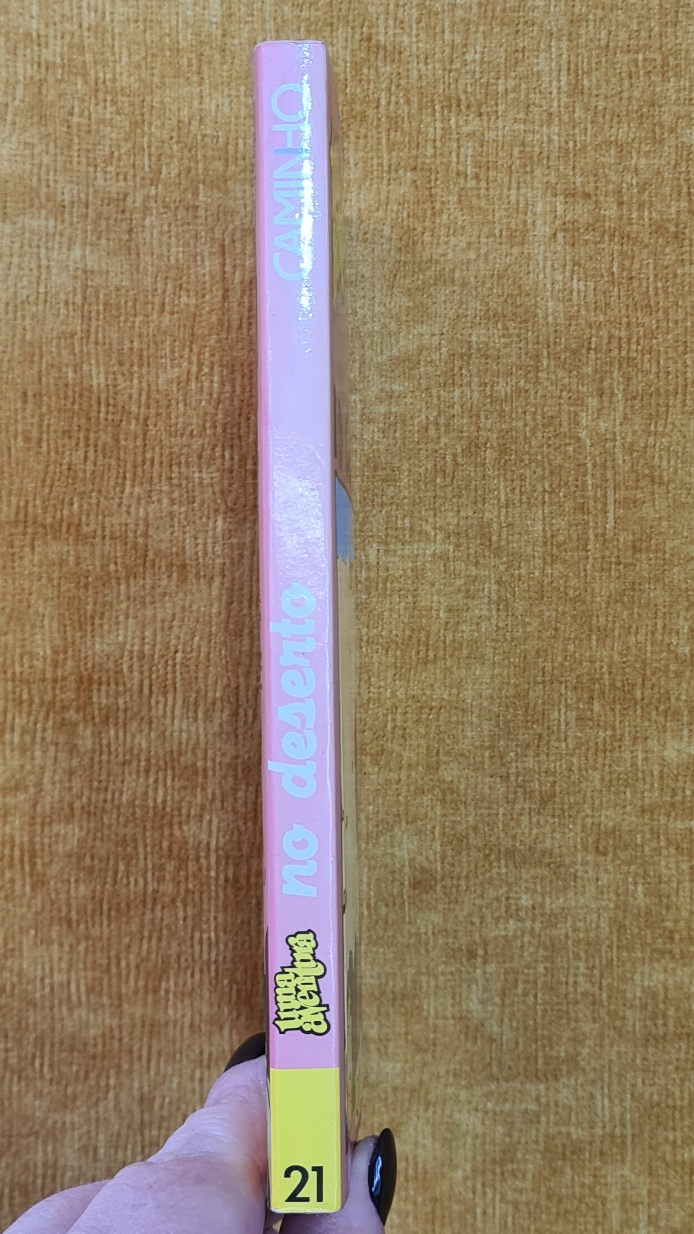 Uma aventura no deserto 21