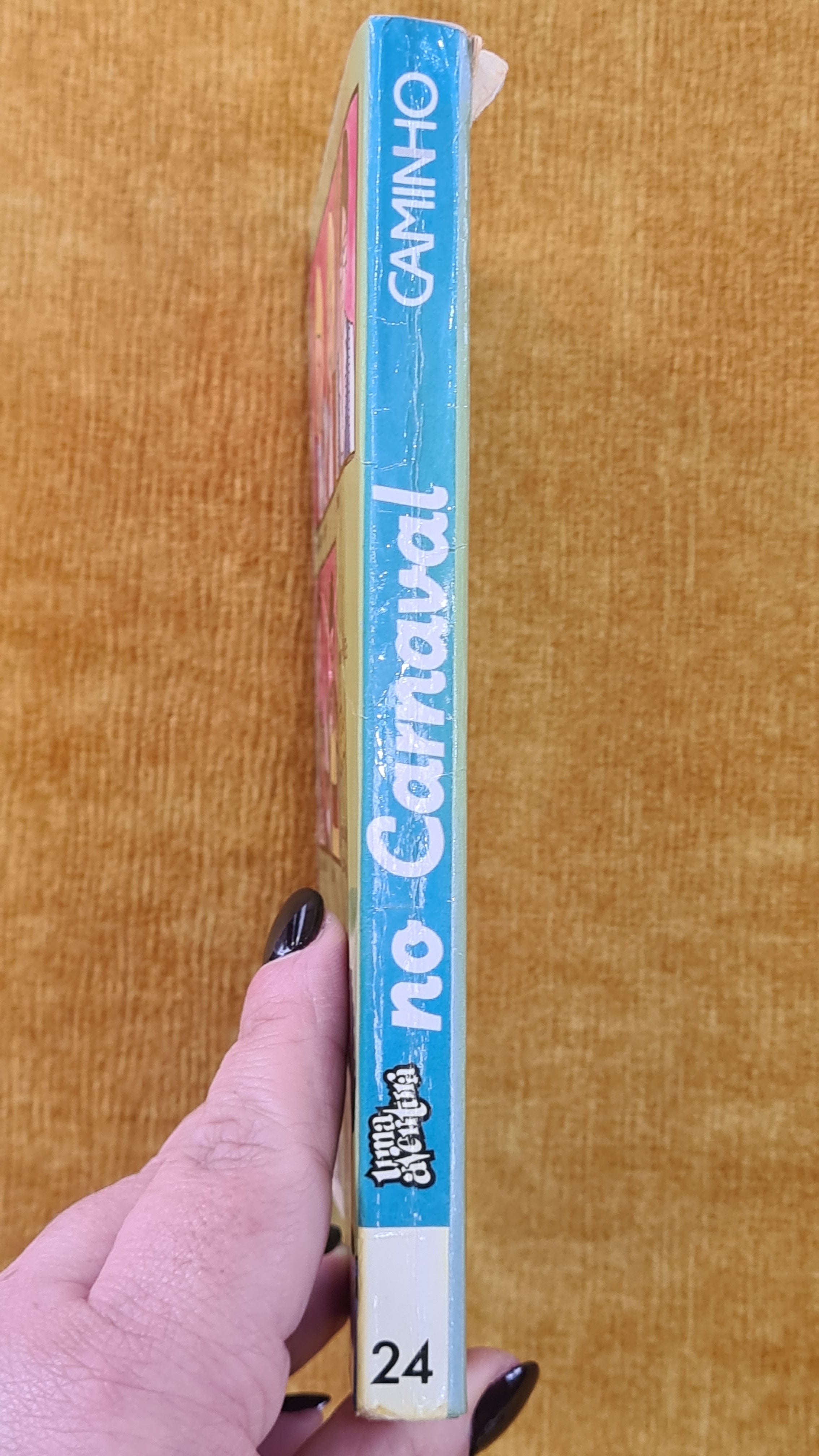 Uma aventura no carnaval 24