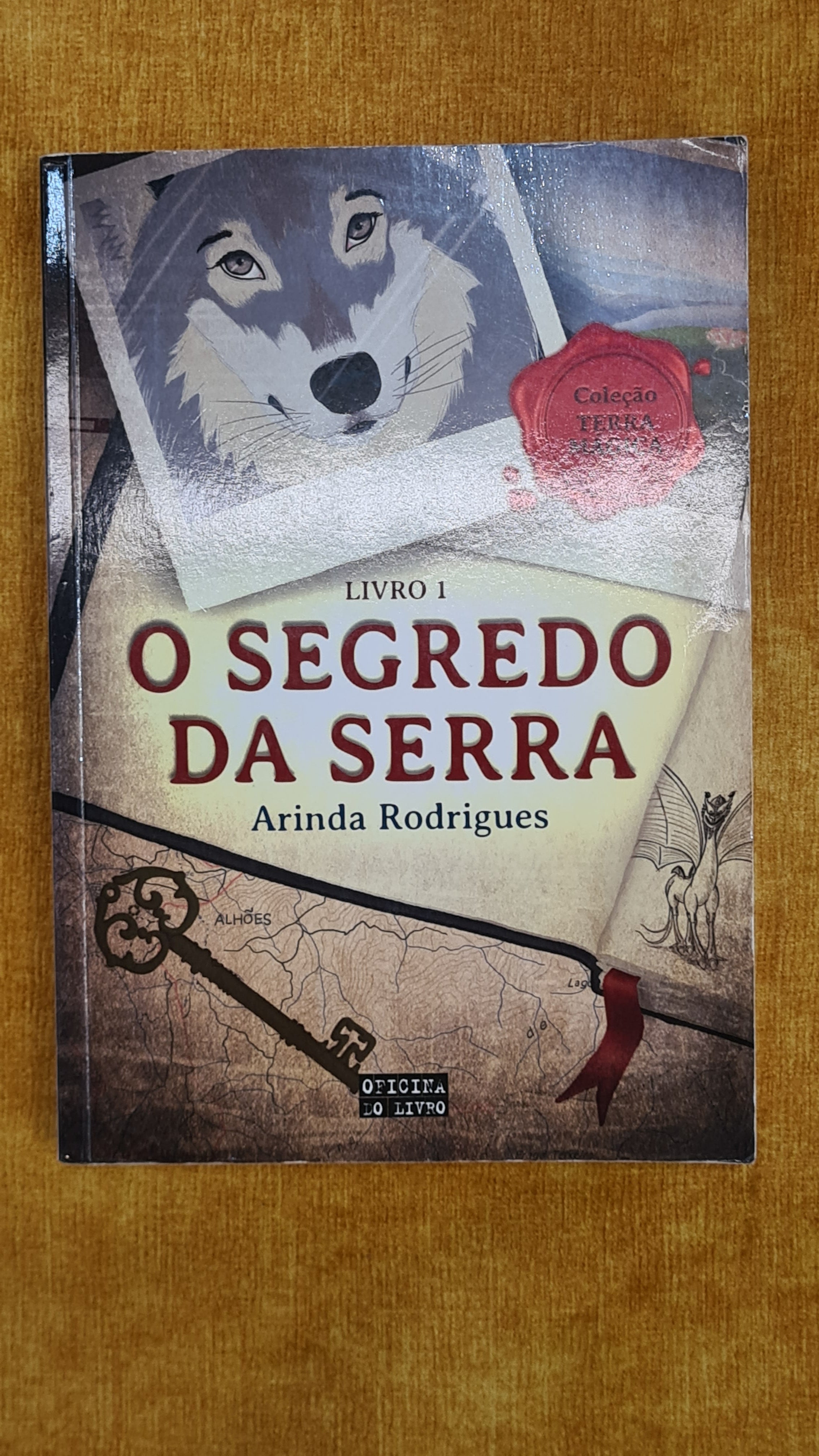 O segredo da serra - Terra mágica 1