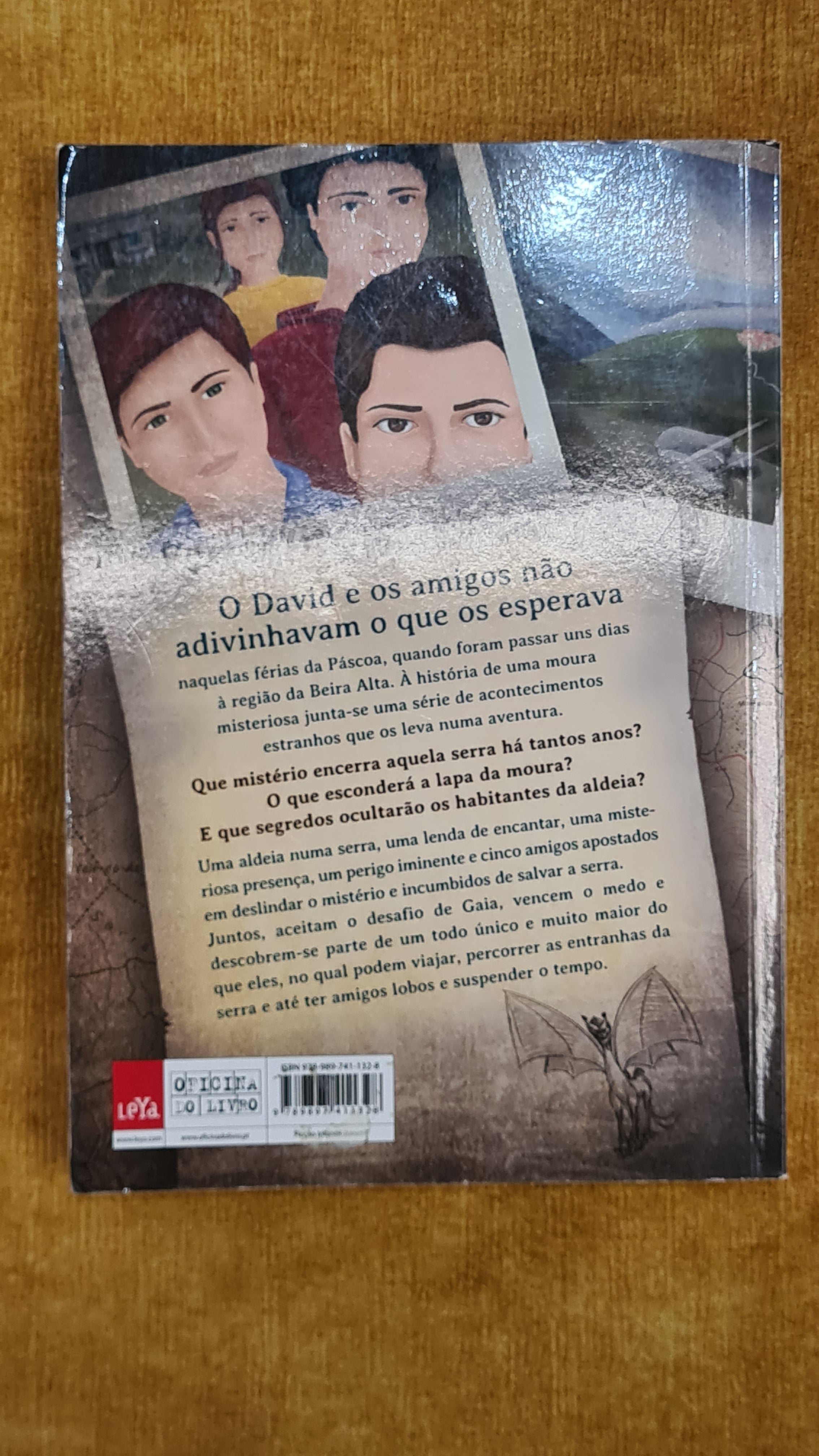 O segredo da serra - Terra mágica 1