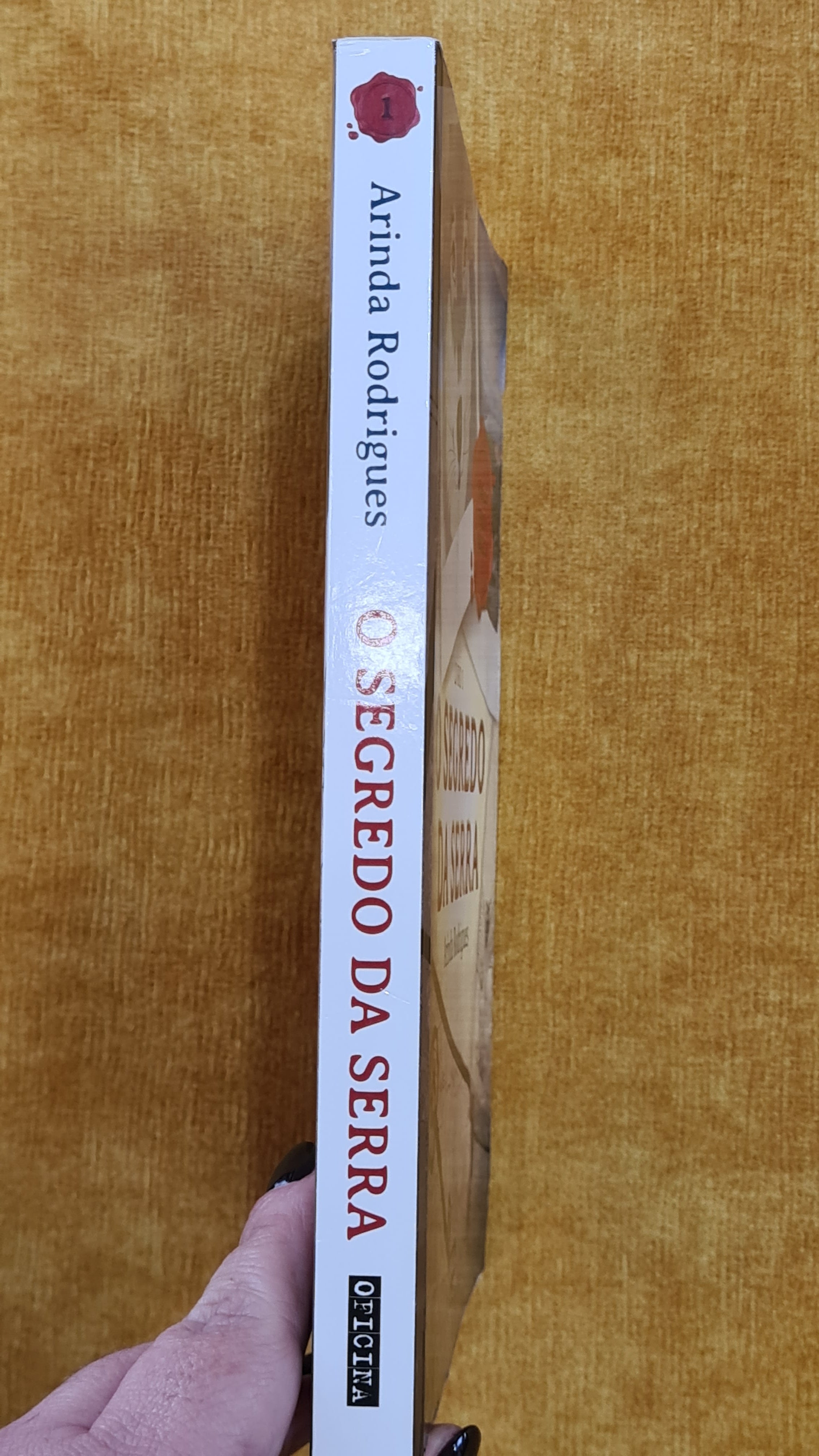 O segredo da serra - Terra mágica 1