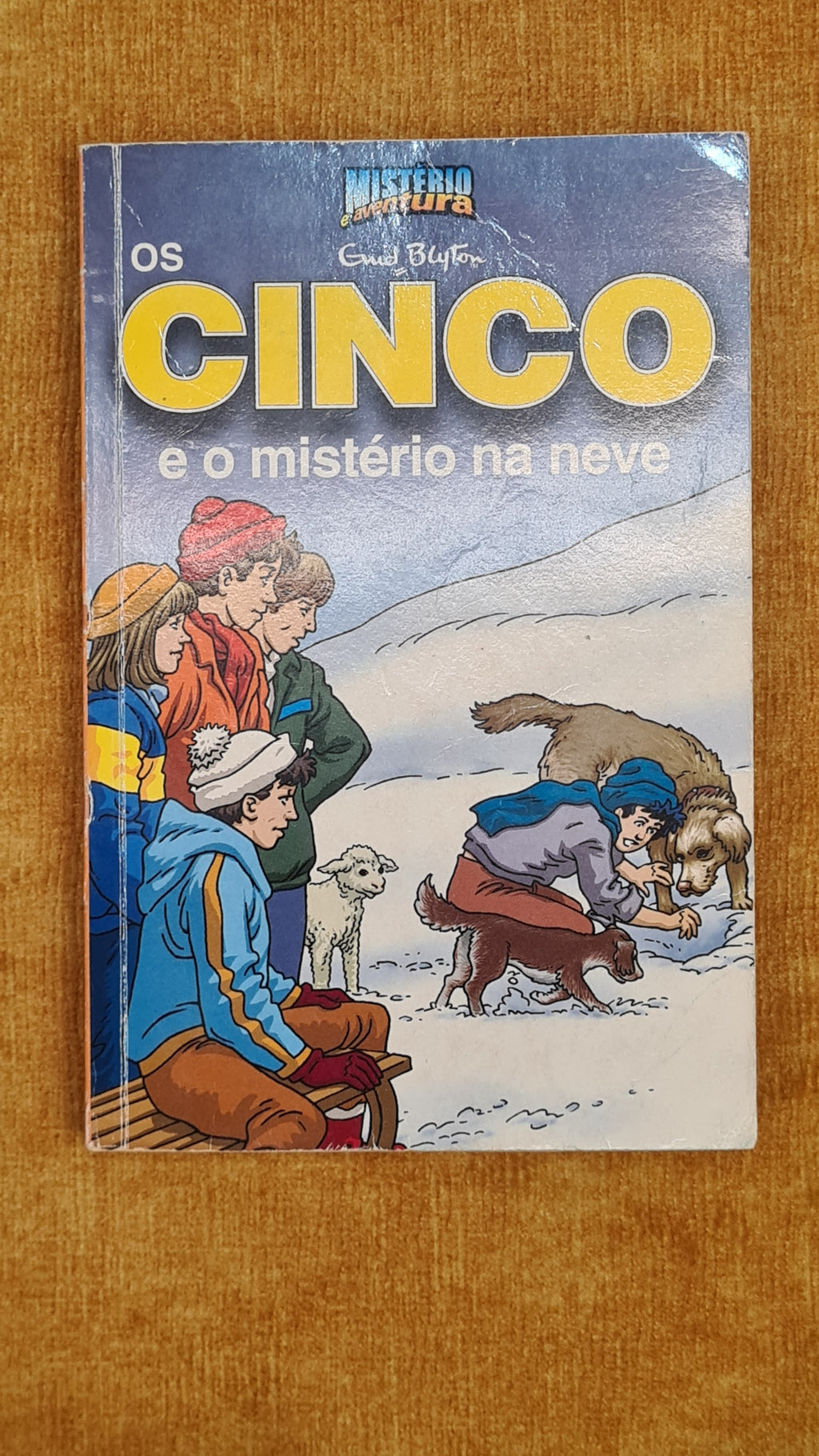 The Famous Five and the Mystery on the Snow - Mystery and Adventure 17