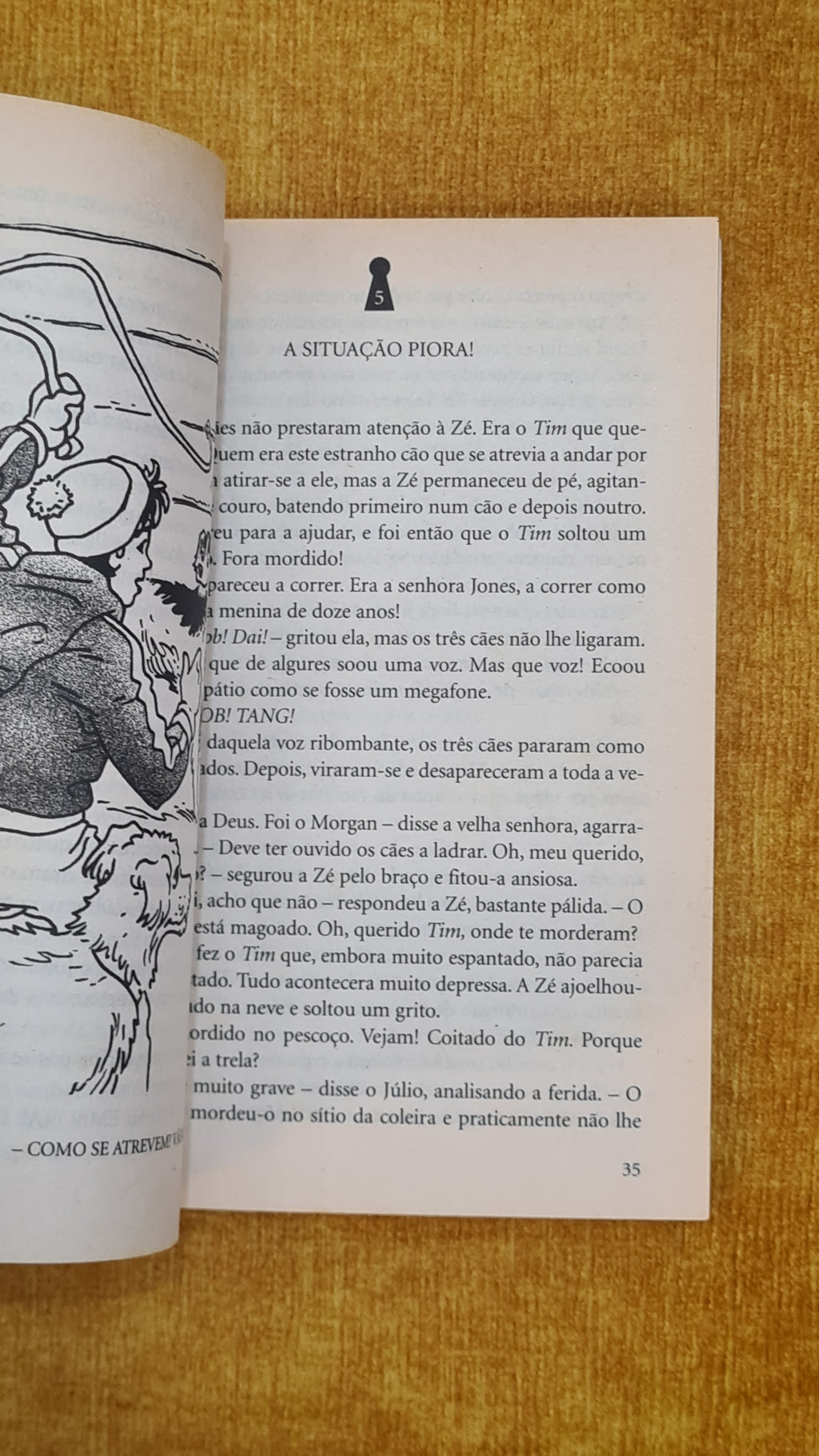 The Famous Five and the Mystery on the Snow - Mystery and Adventure 17