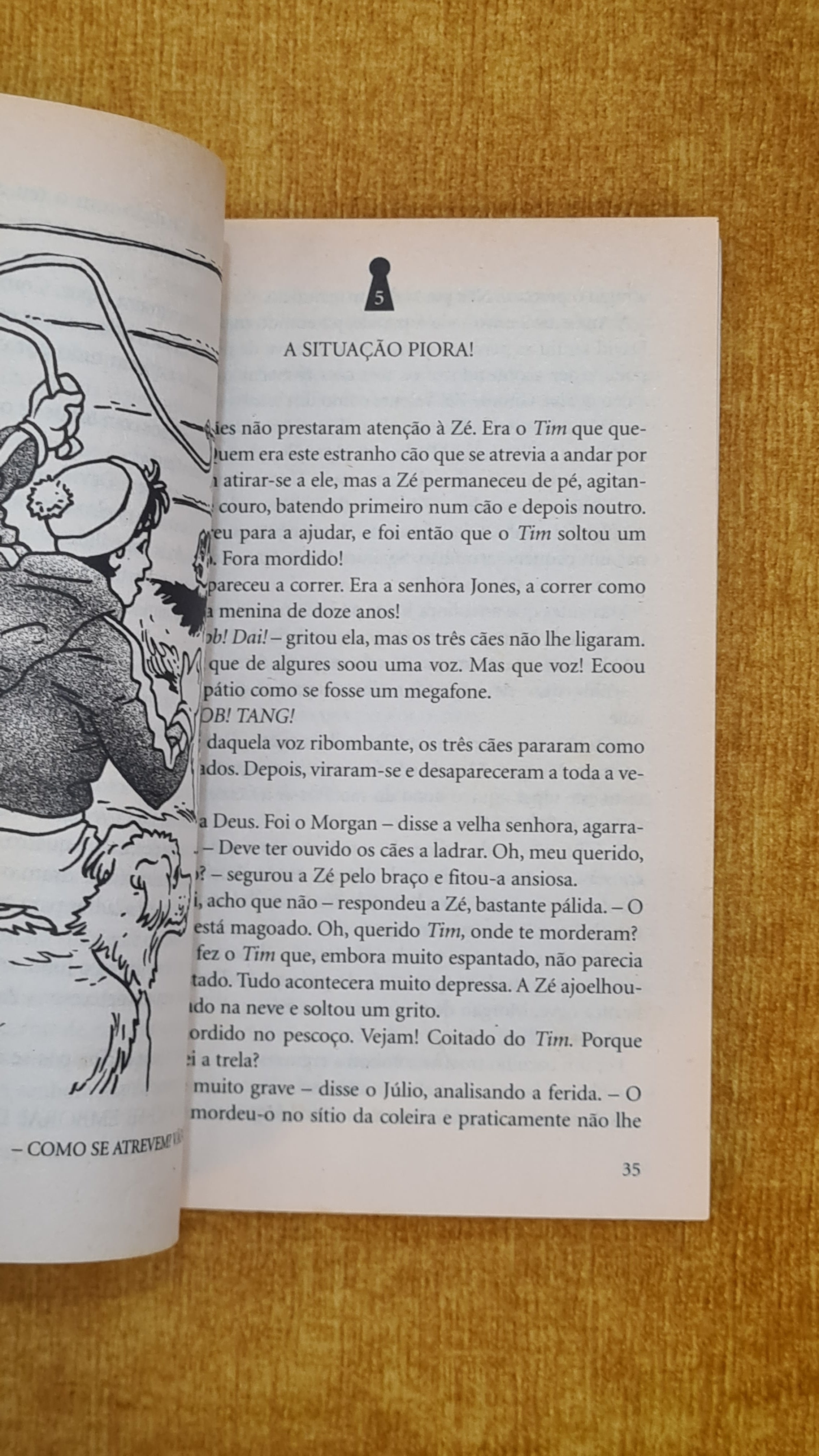 The Famous Five and the Mystery on the Snow - Mystery and Adventure 17