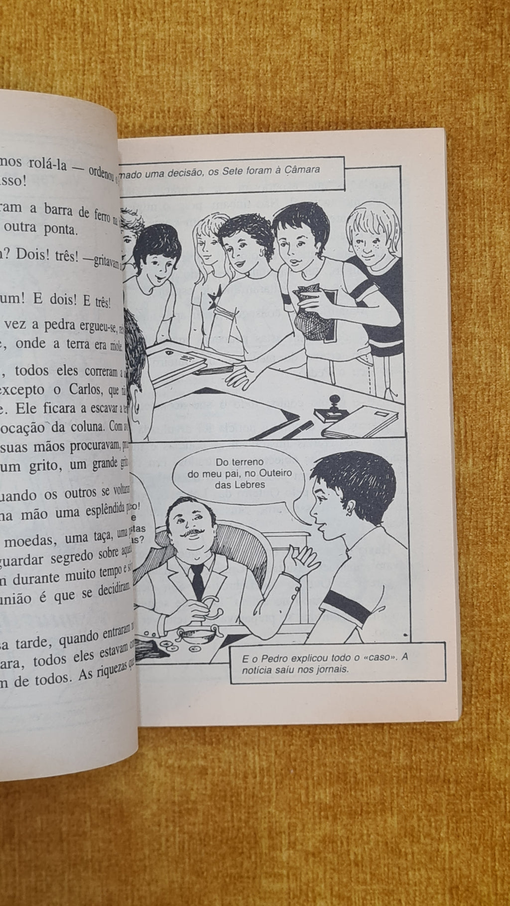The Seven and the Golden Figurine - New Adventures of the Seven 5
