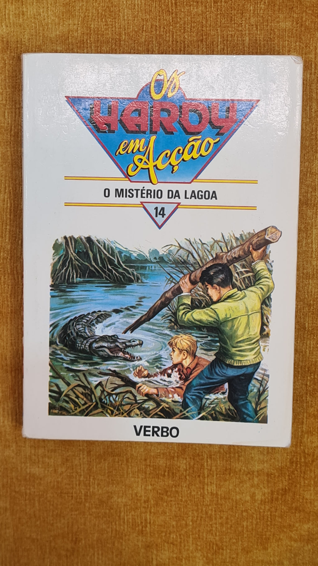The Hardy Boys 14 - The Mystery of the Lake