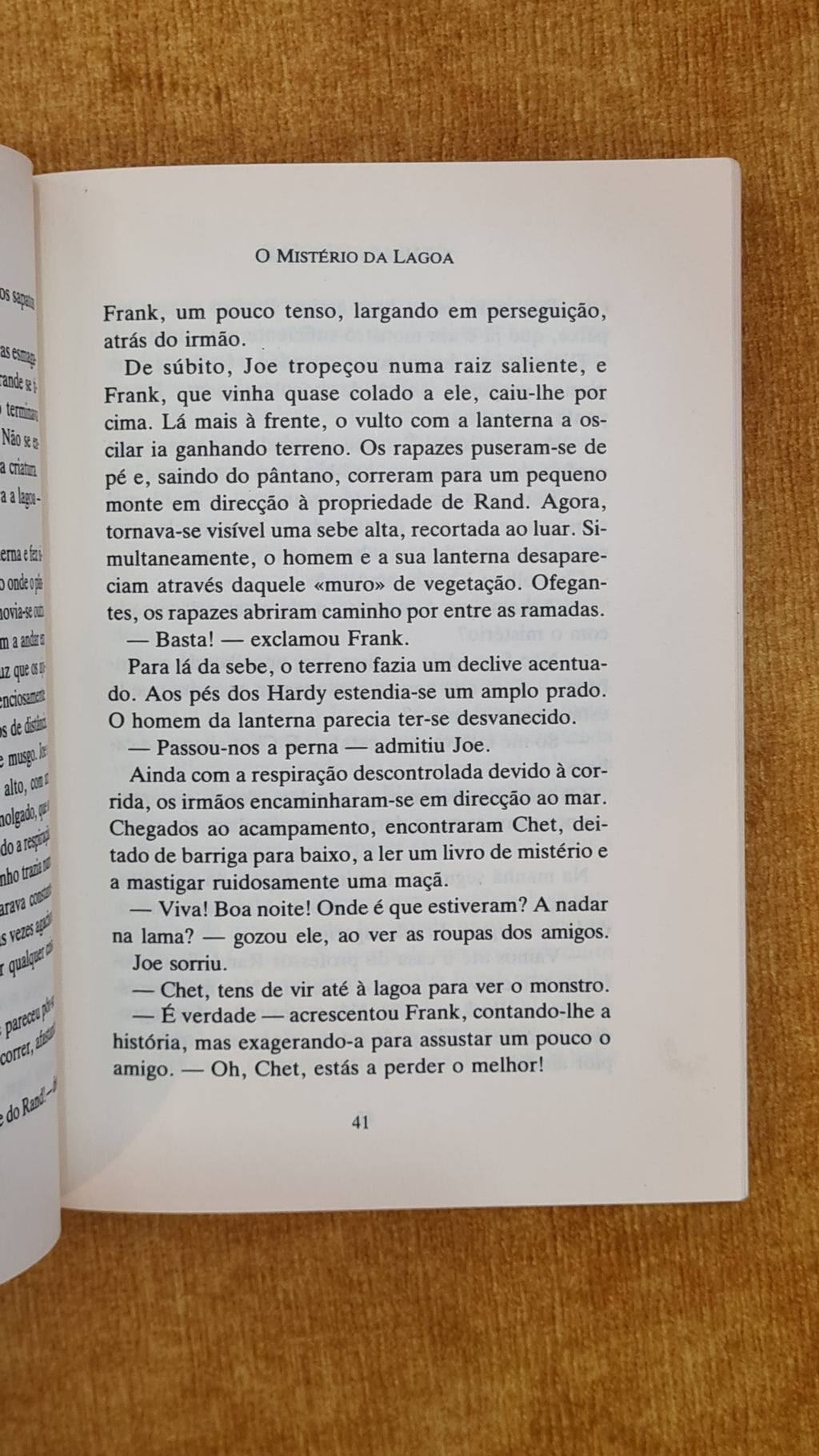 The Hardy Boys 14 - The Mystery of the Lake