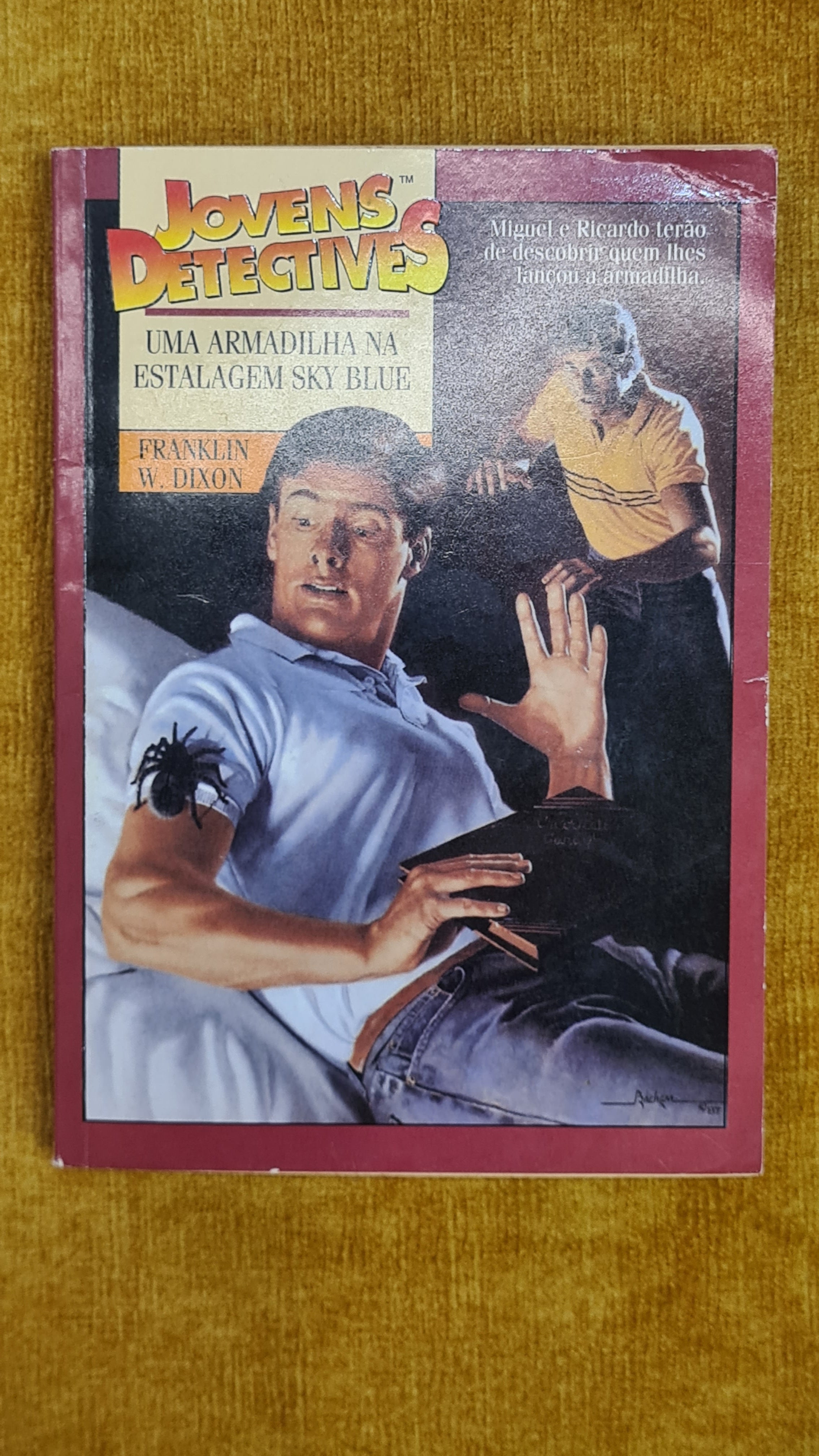 Uma armadilha na estalagem sky blue - Jovens detetives 1