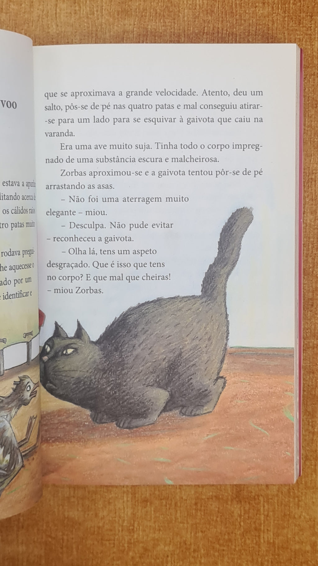 The Story of a Seagull and the Cat Who Taught Her to Fly