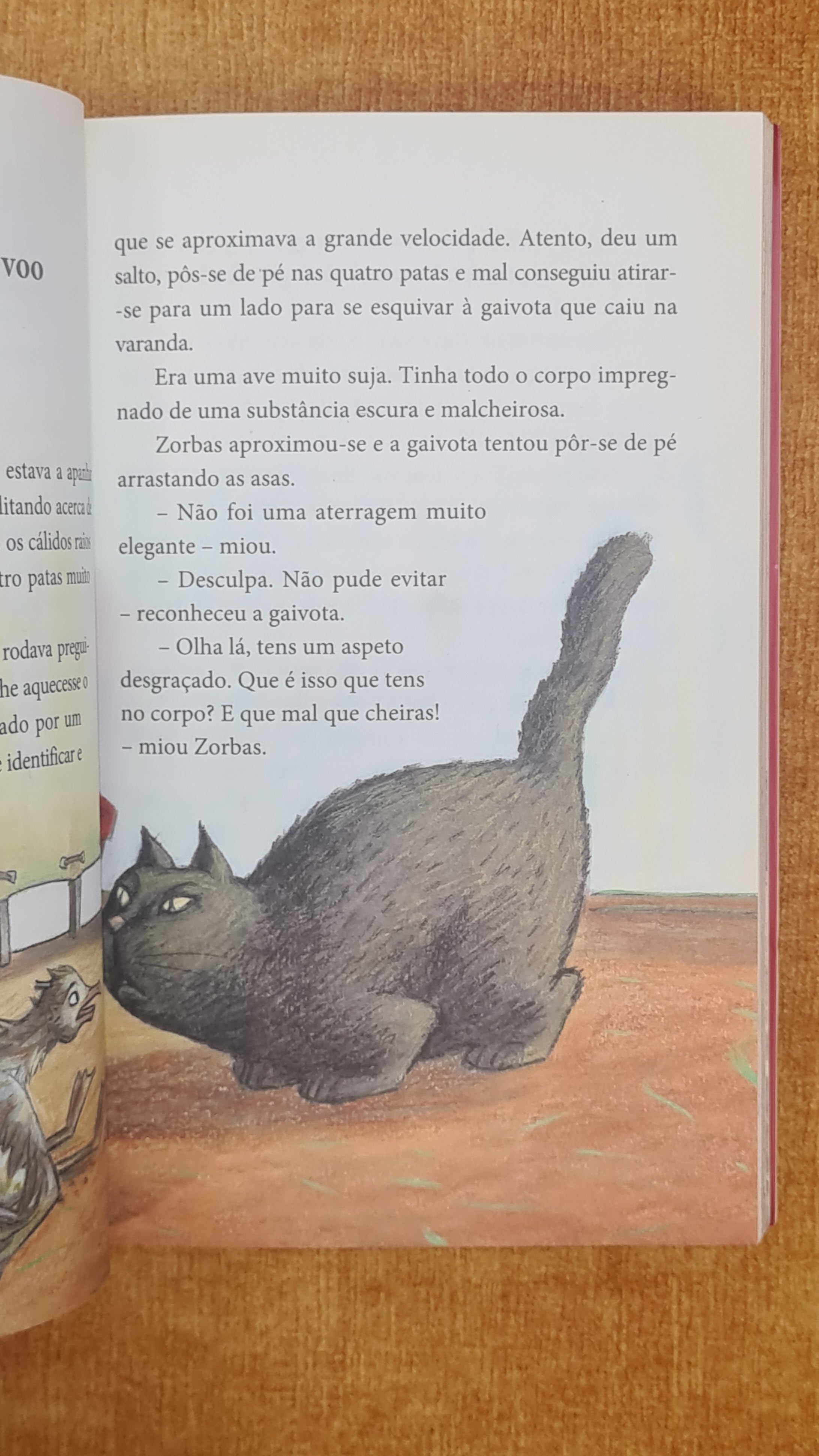 The Story of a Seagull and the Cat Who Taught Her to Fly