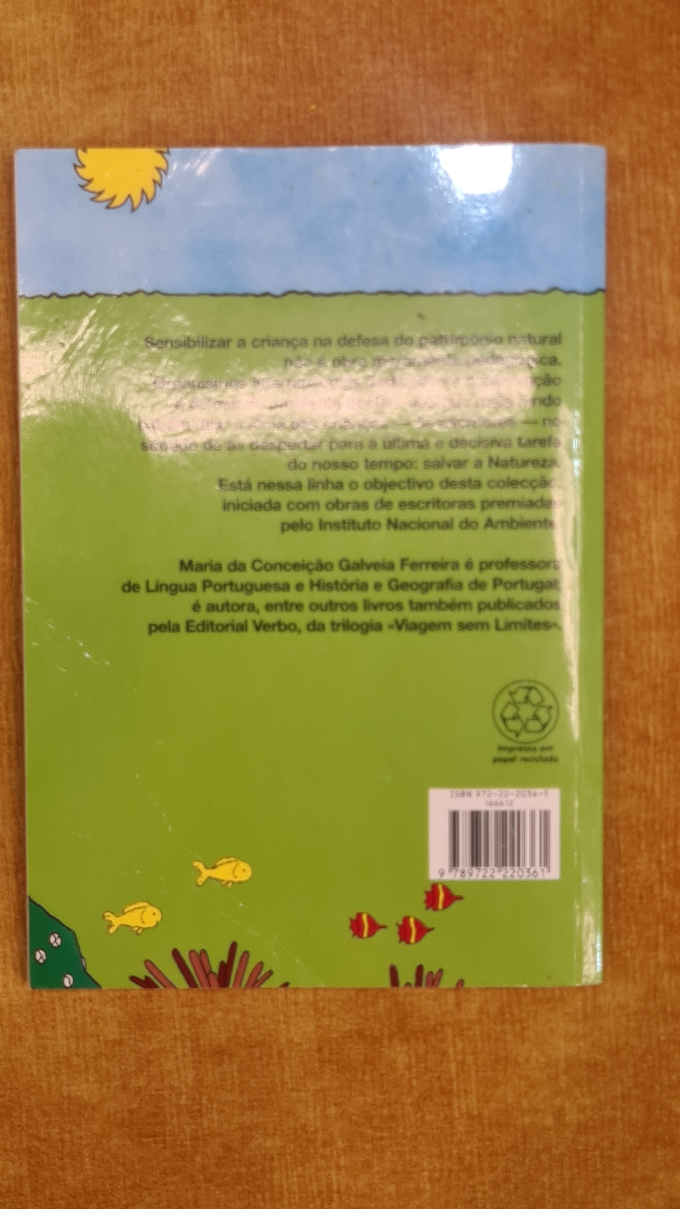 A dream at the bottom of the sea - Green land 12