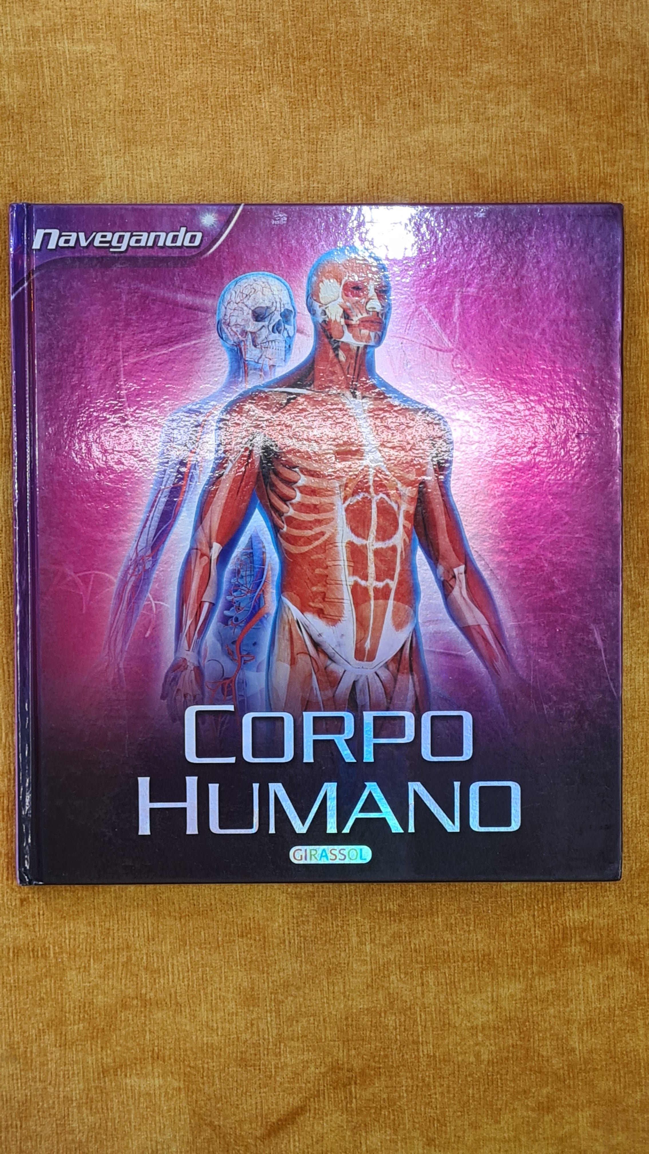 Human Body