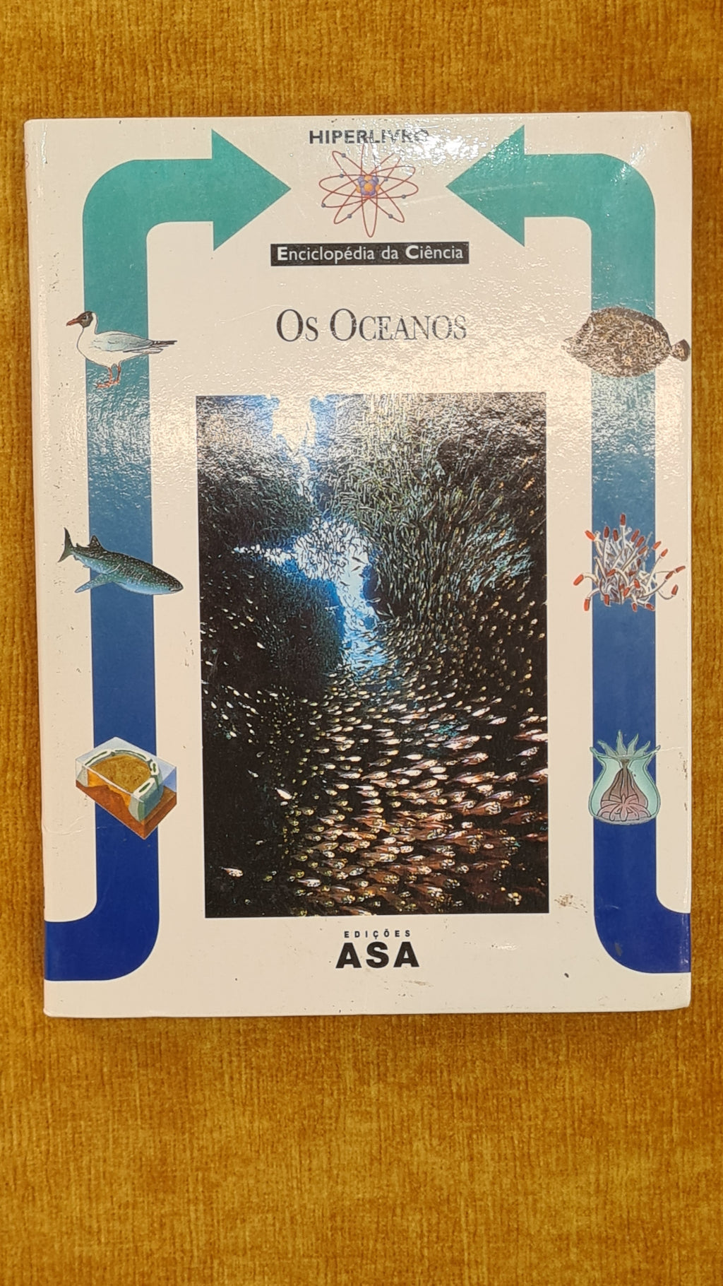 The Oceans - Science Encyclopedia 15