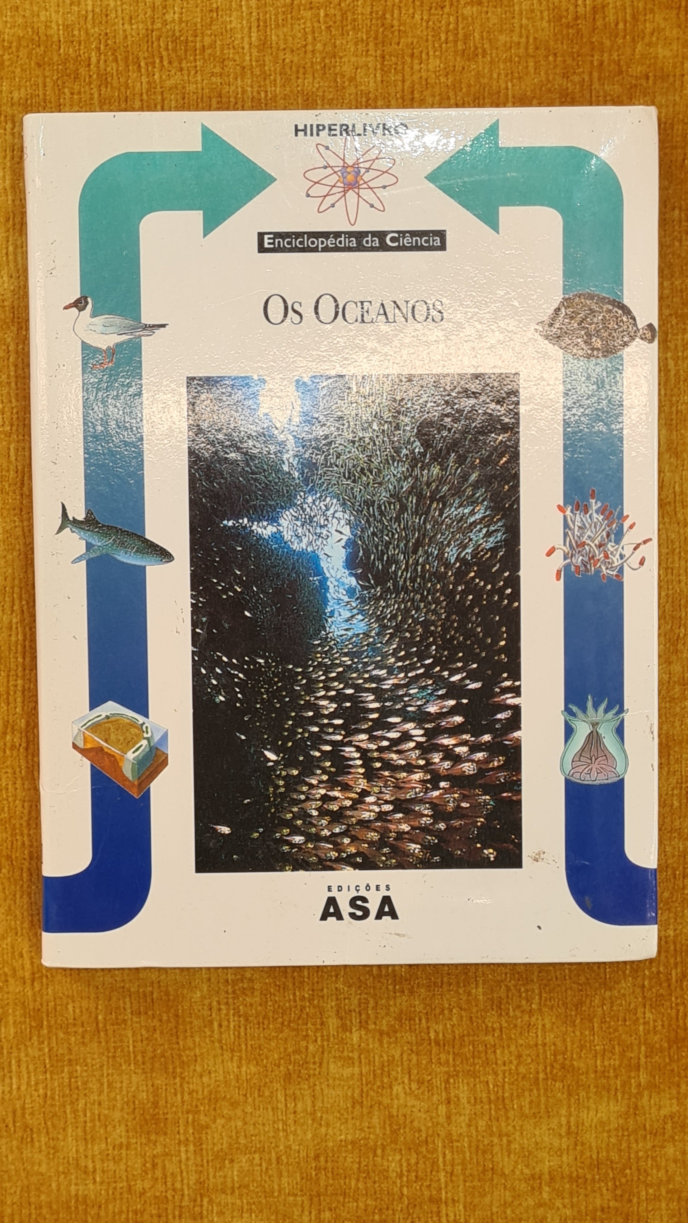 The Oceans - Science Encyclopedia 15