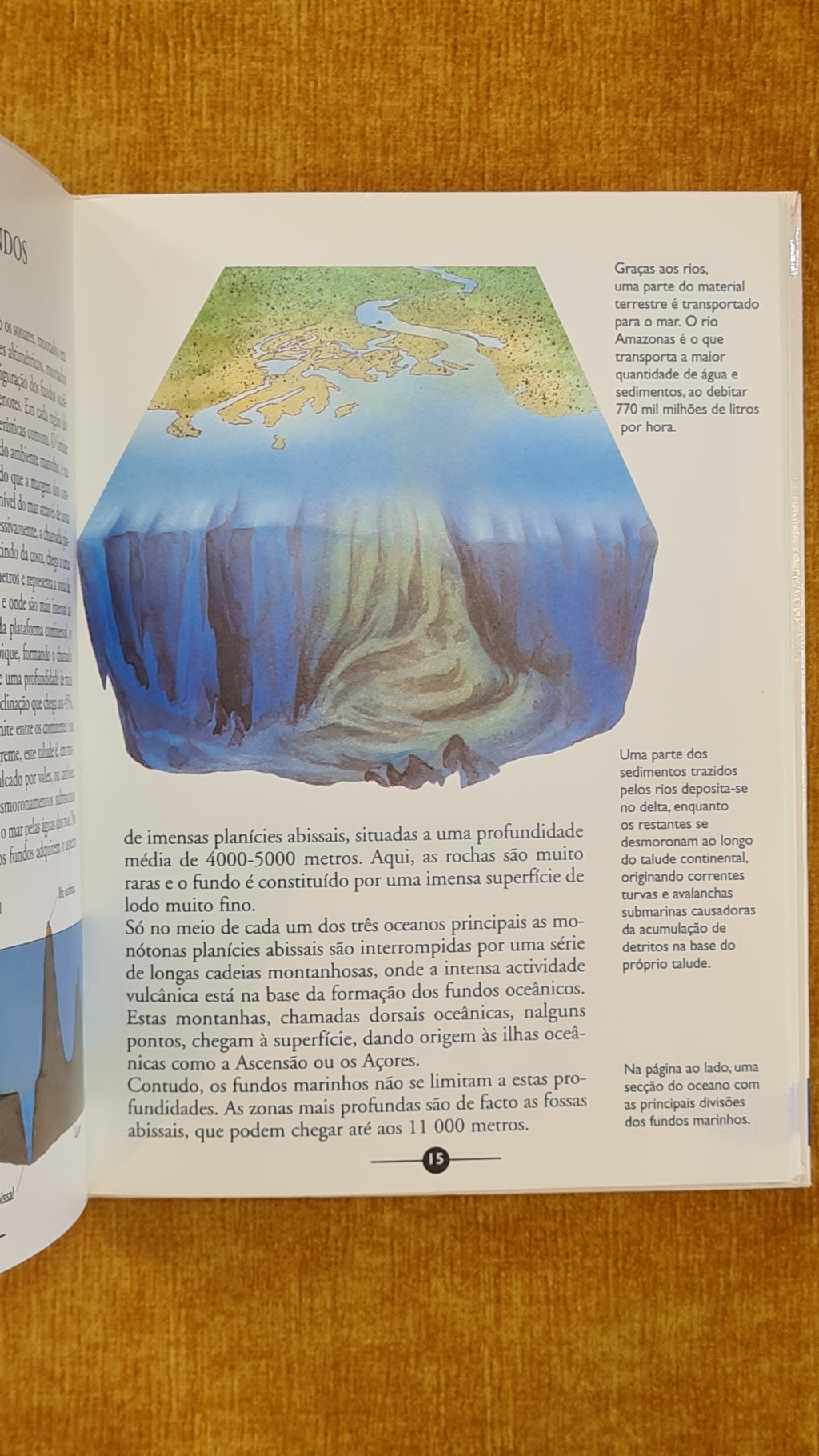 The Oceans - Science Encyclopedia 15