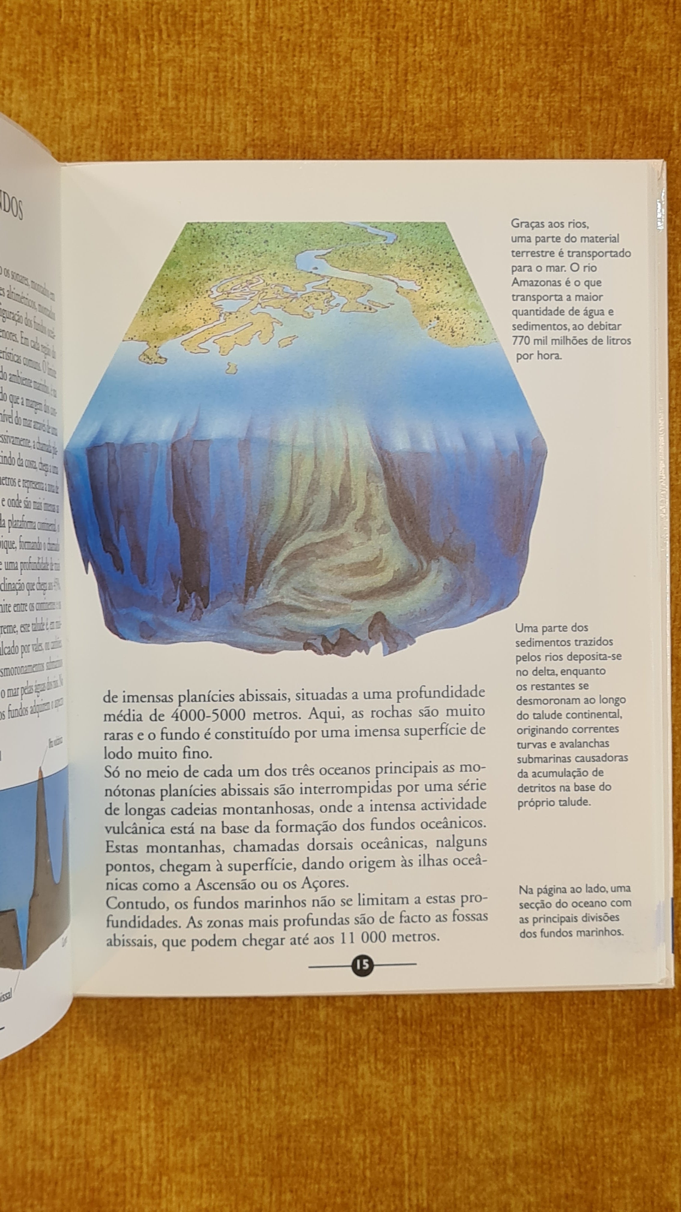 The Oceans - Science Encyclopedia 15