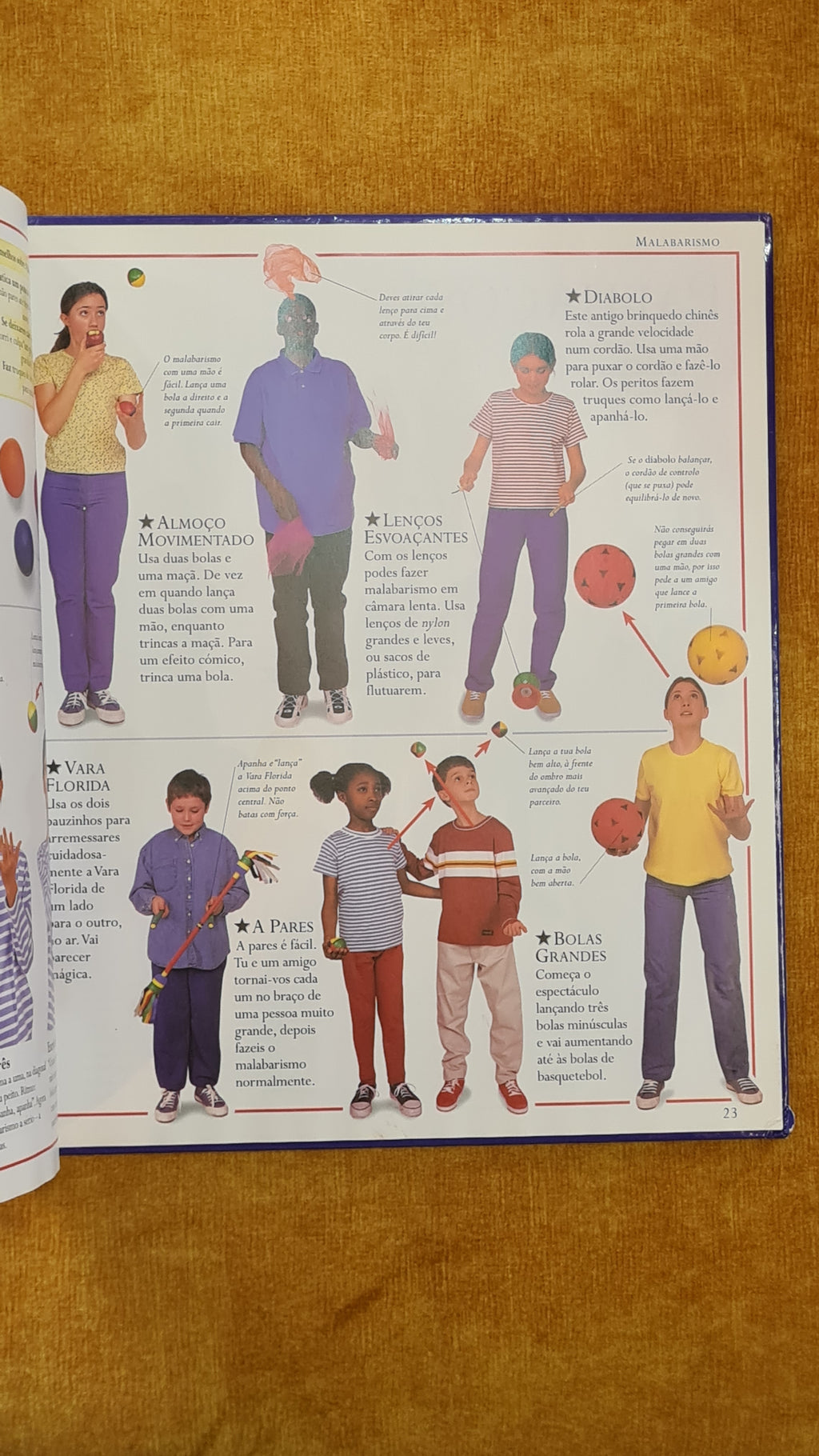 Fantastic book of parties and shows