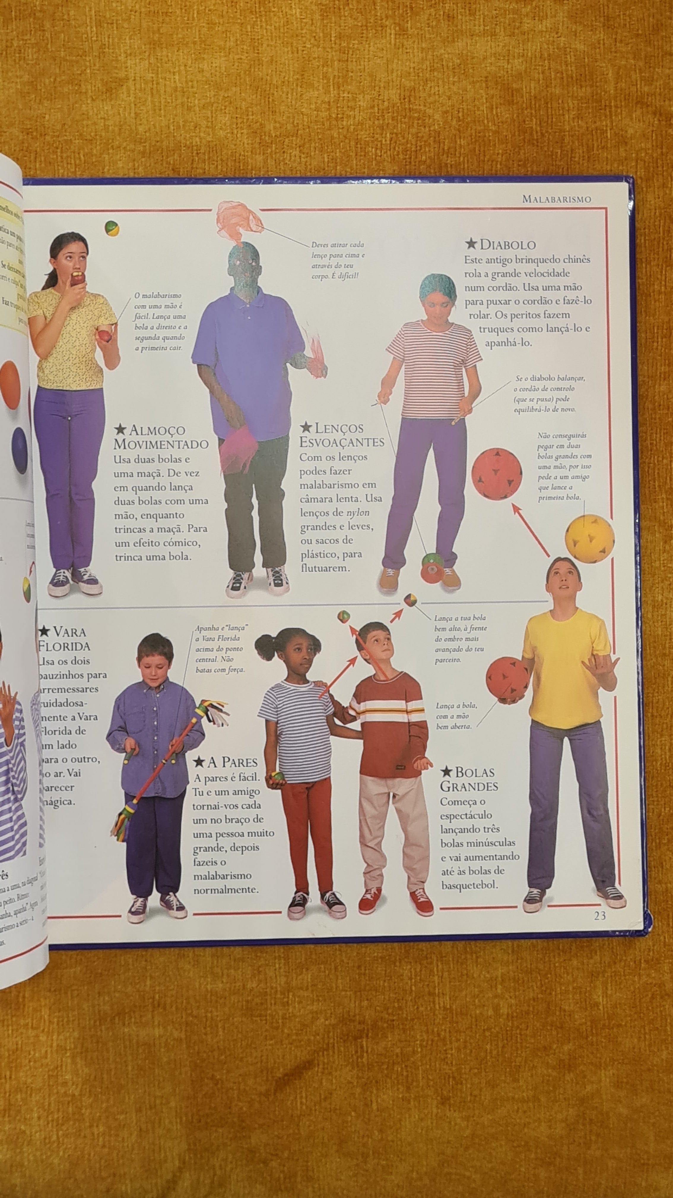 Fantastic book of parties and shows