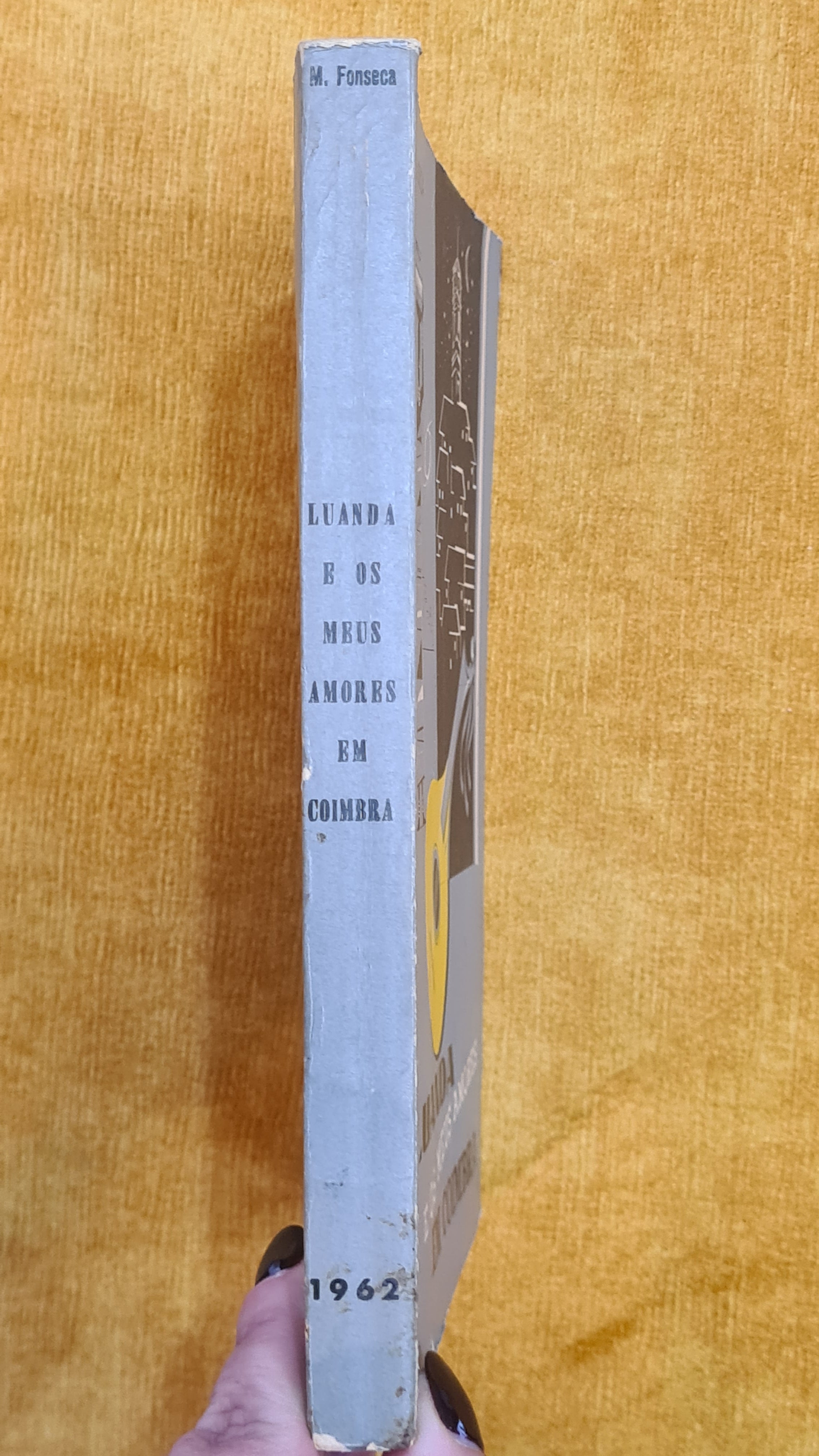 Luanda e os meus amores em Coimbra