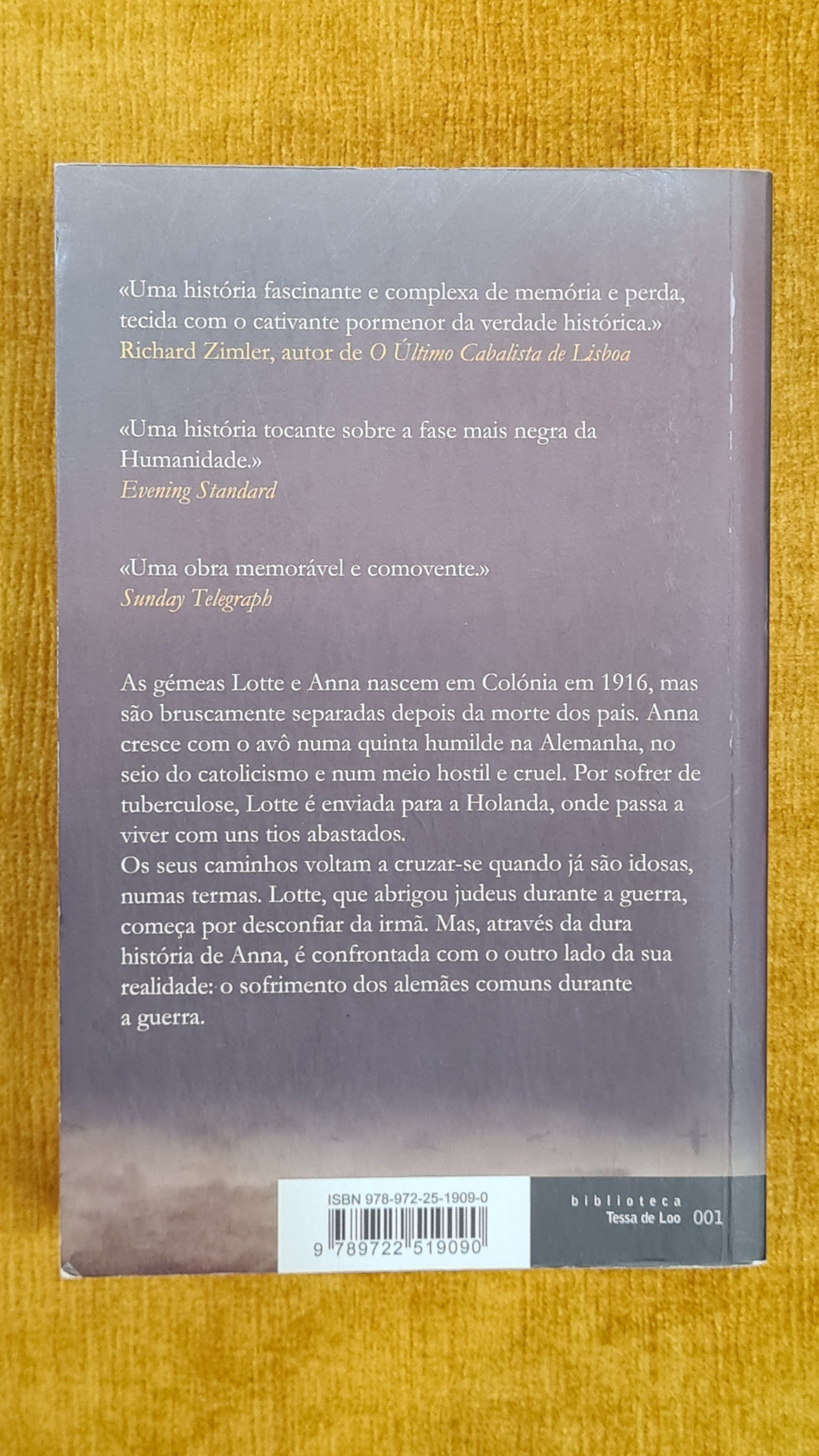 As gémeas - Biblioteca Tessa de Loo 001