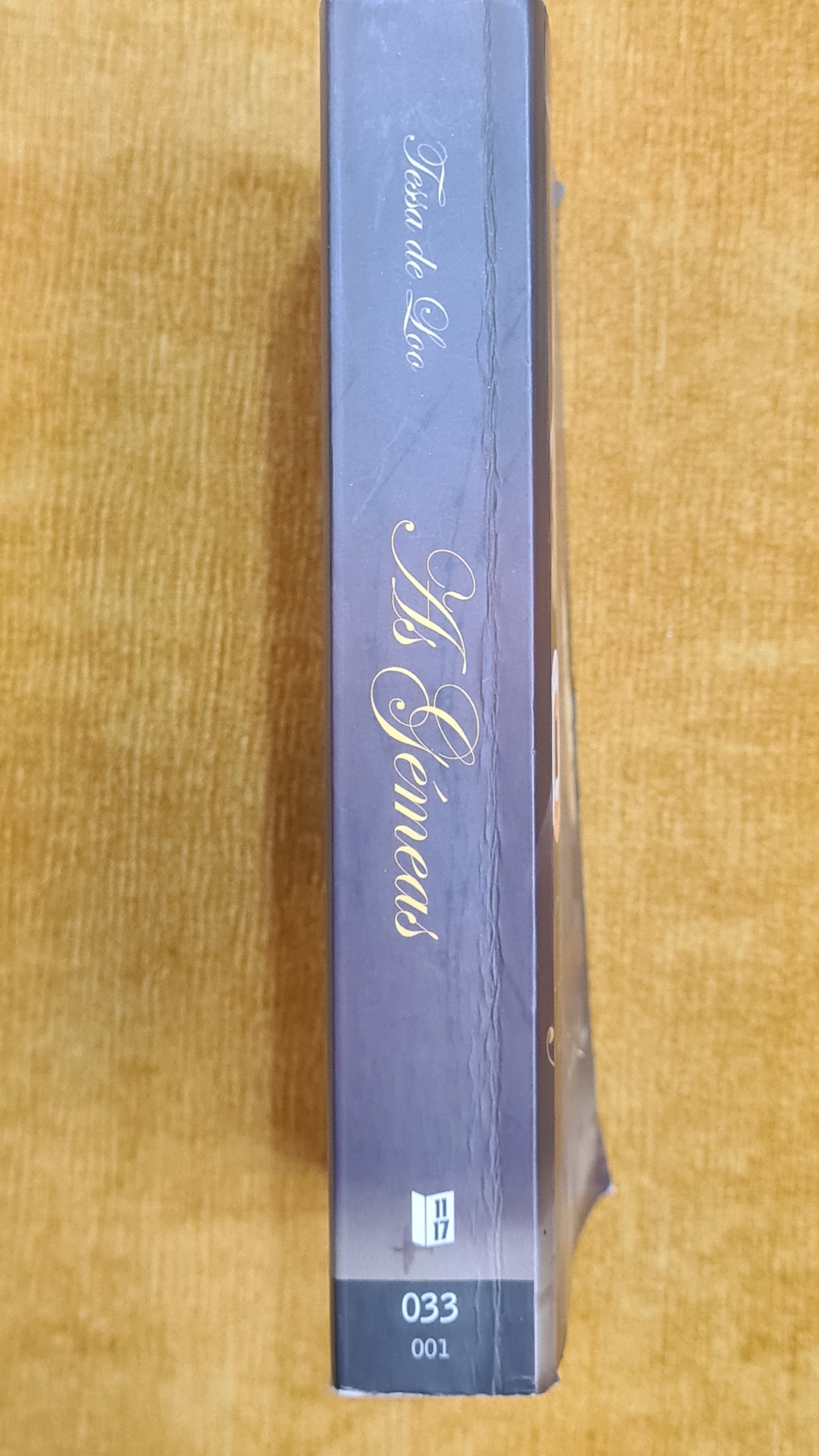 As gémeas - Biblioteca Tessa de Loo 001