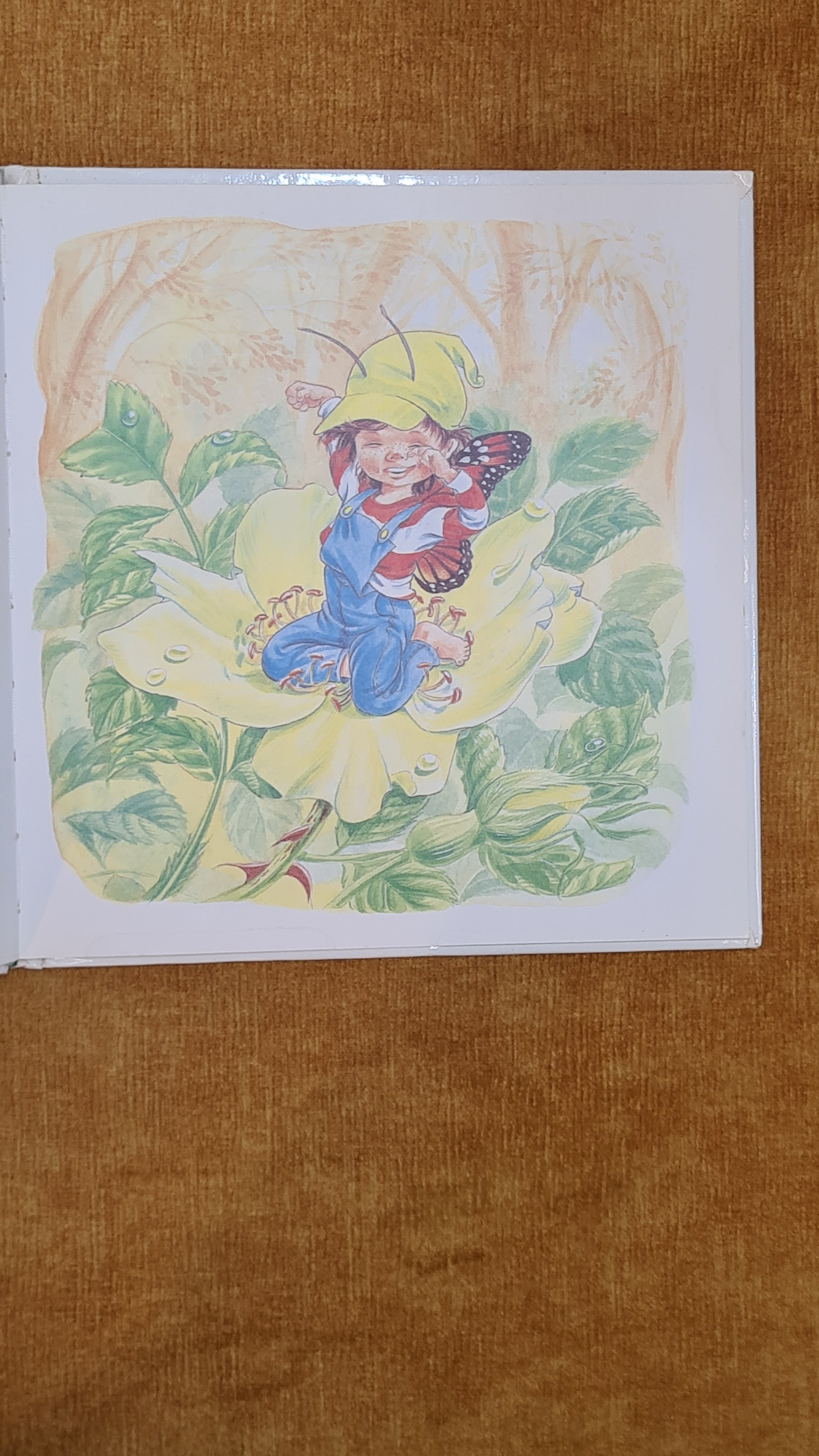 Journey into the Woods - The Butterfly Boys 2