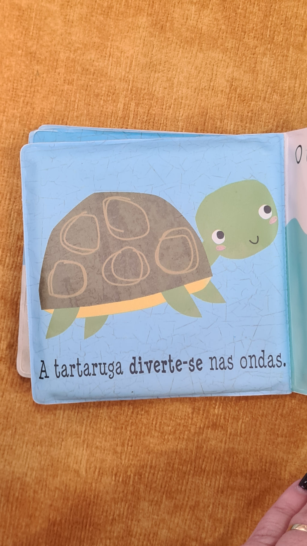 At the bottom of the sea - Bath book