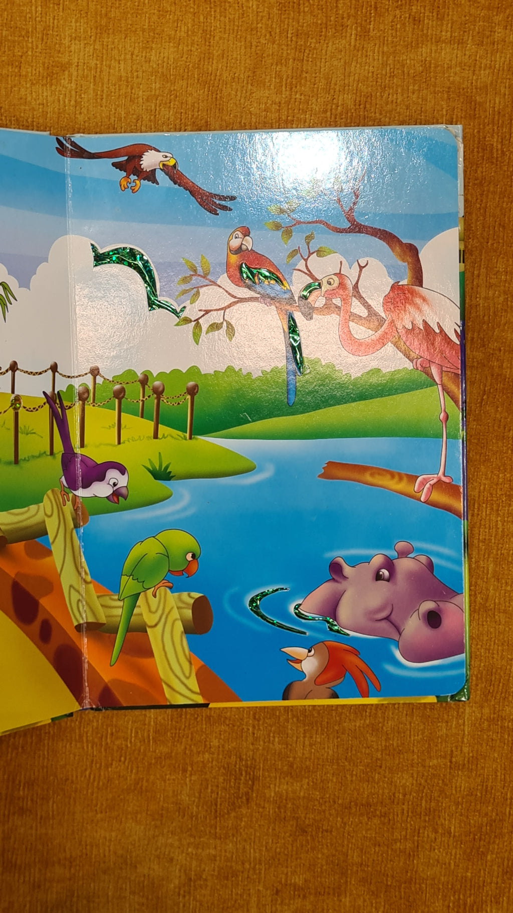 A day at the Zoo