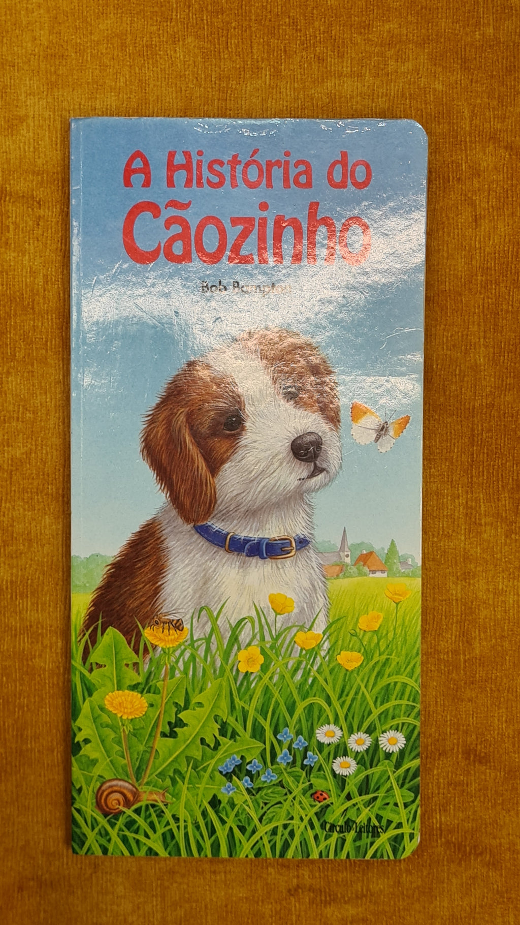 The Story of the Little Dog