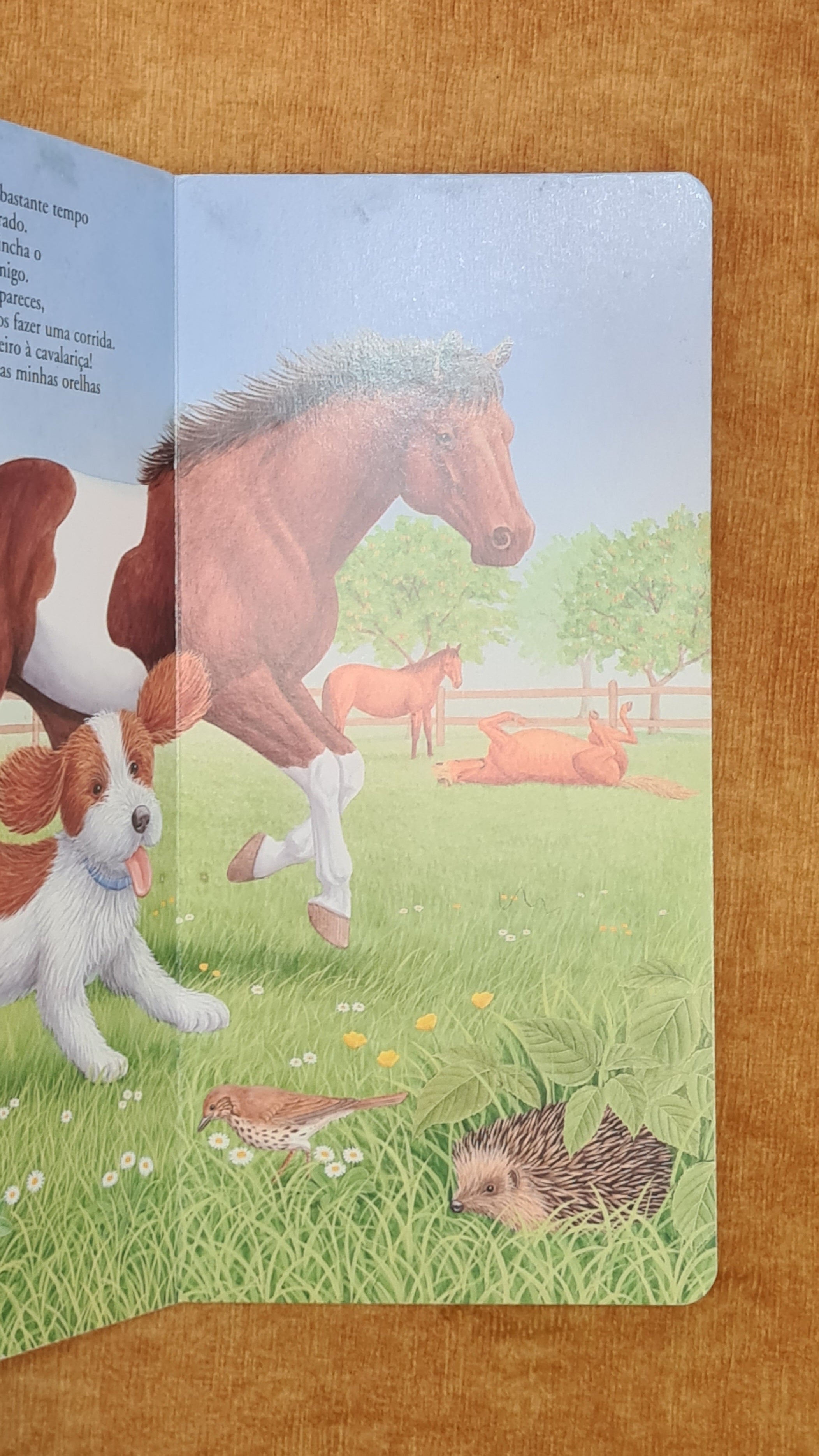 The Story of the Little Dog