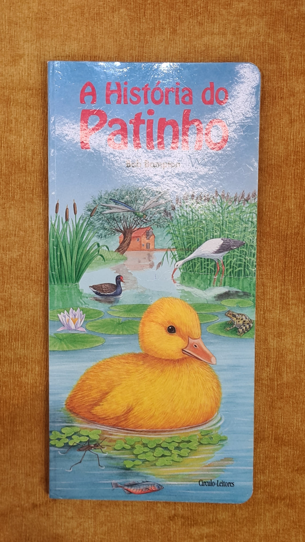The Ugly Duckling