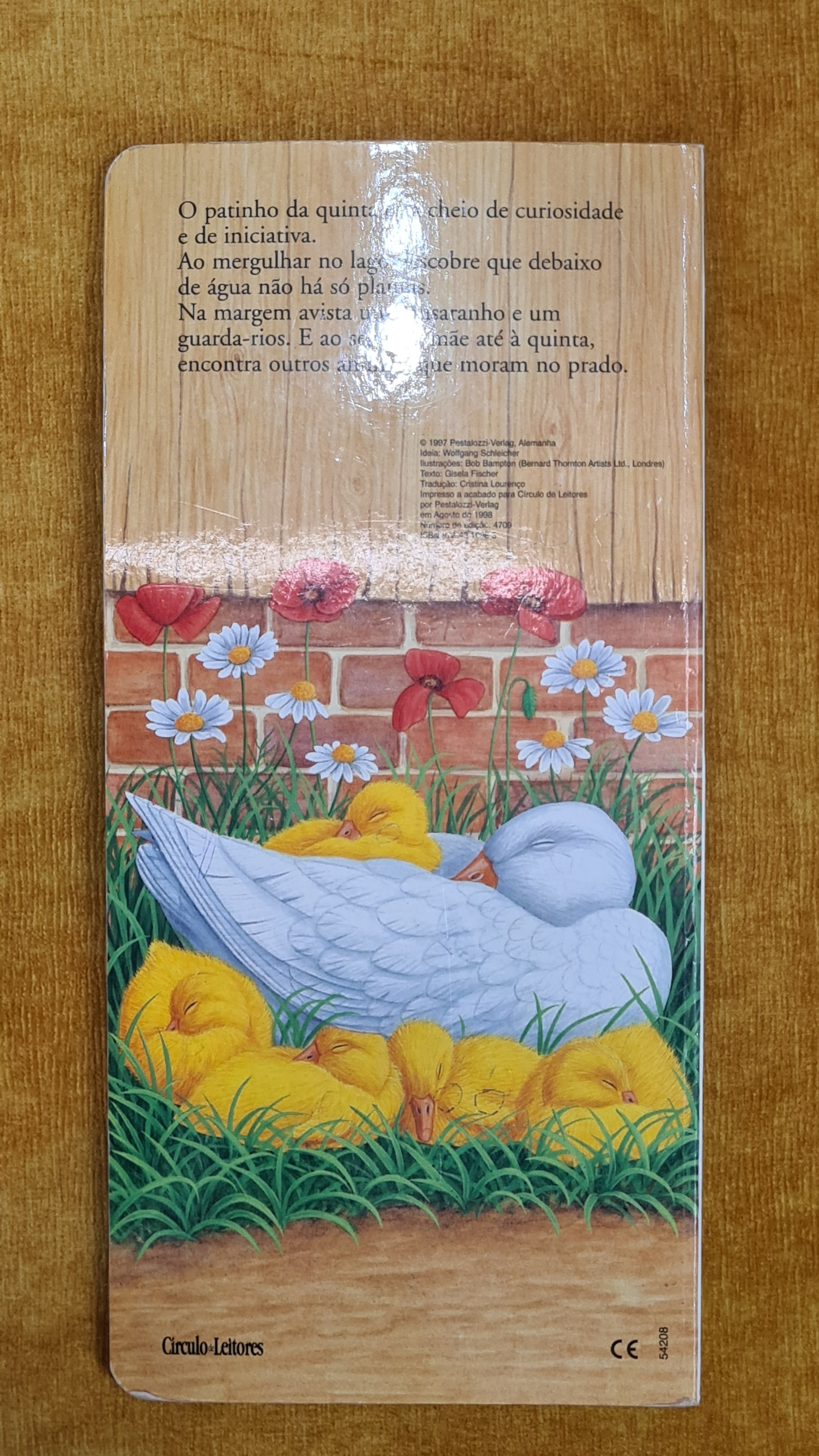 The Ugly Duckling