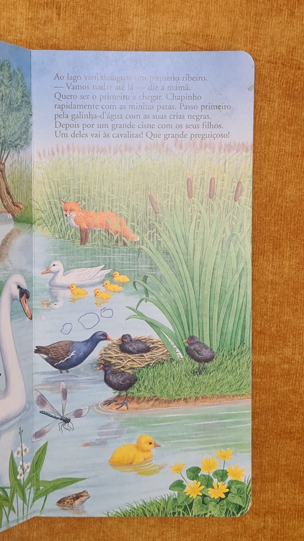 The Ugly Duckling