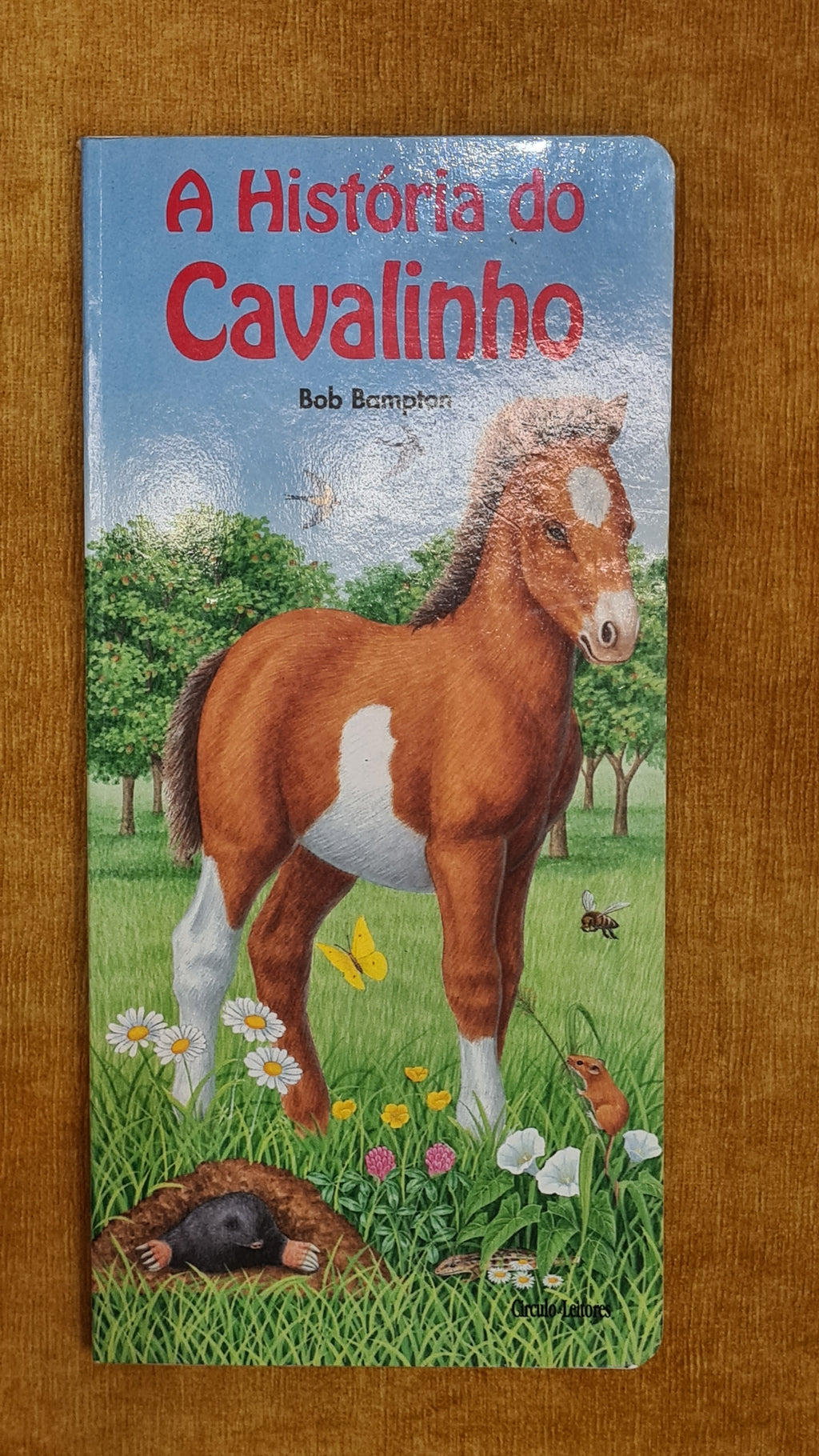 The Little Horse's Story