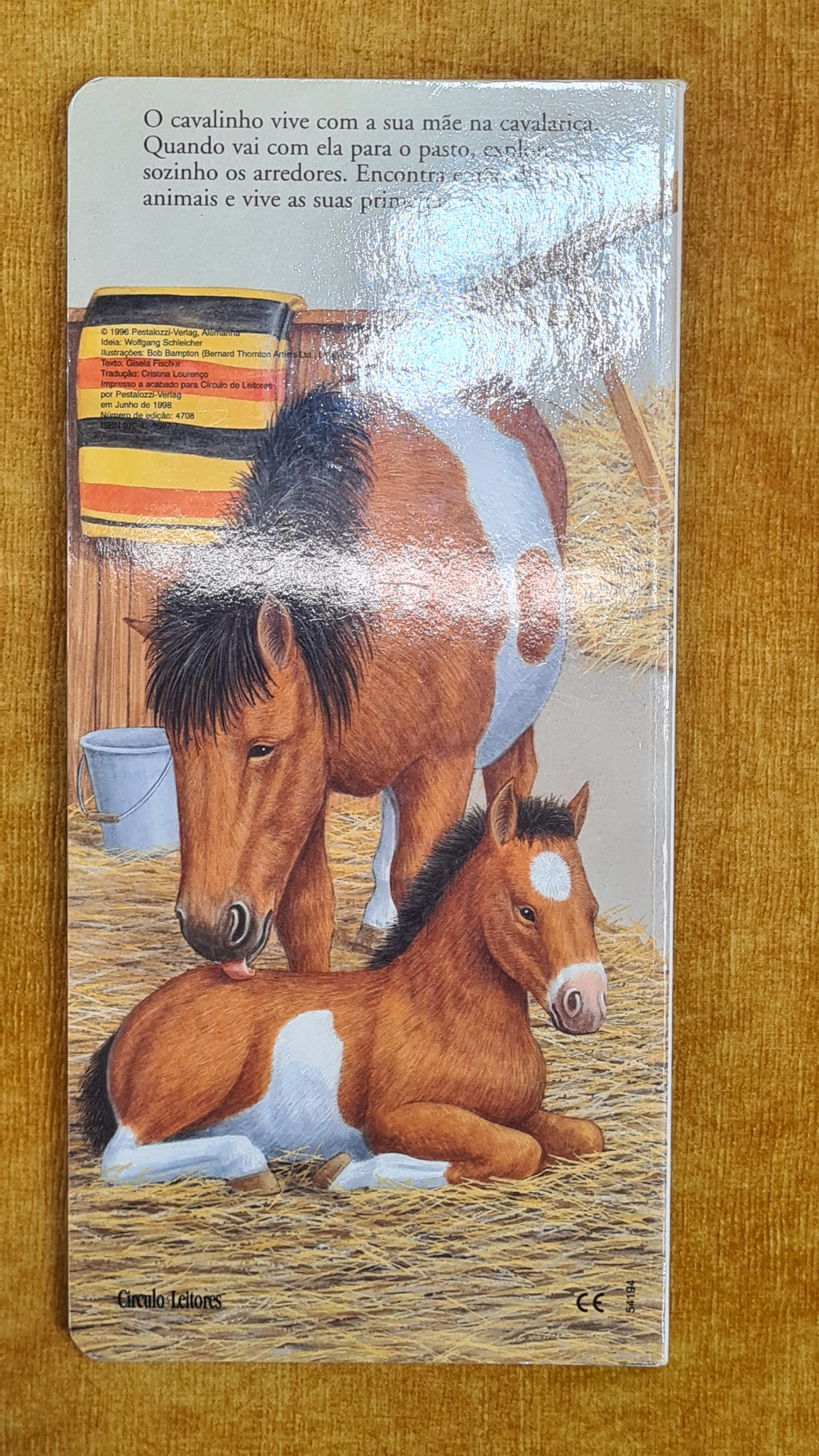 The Little Horse's Story