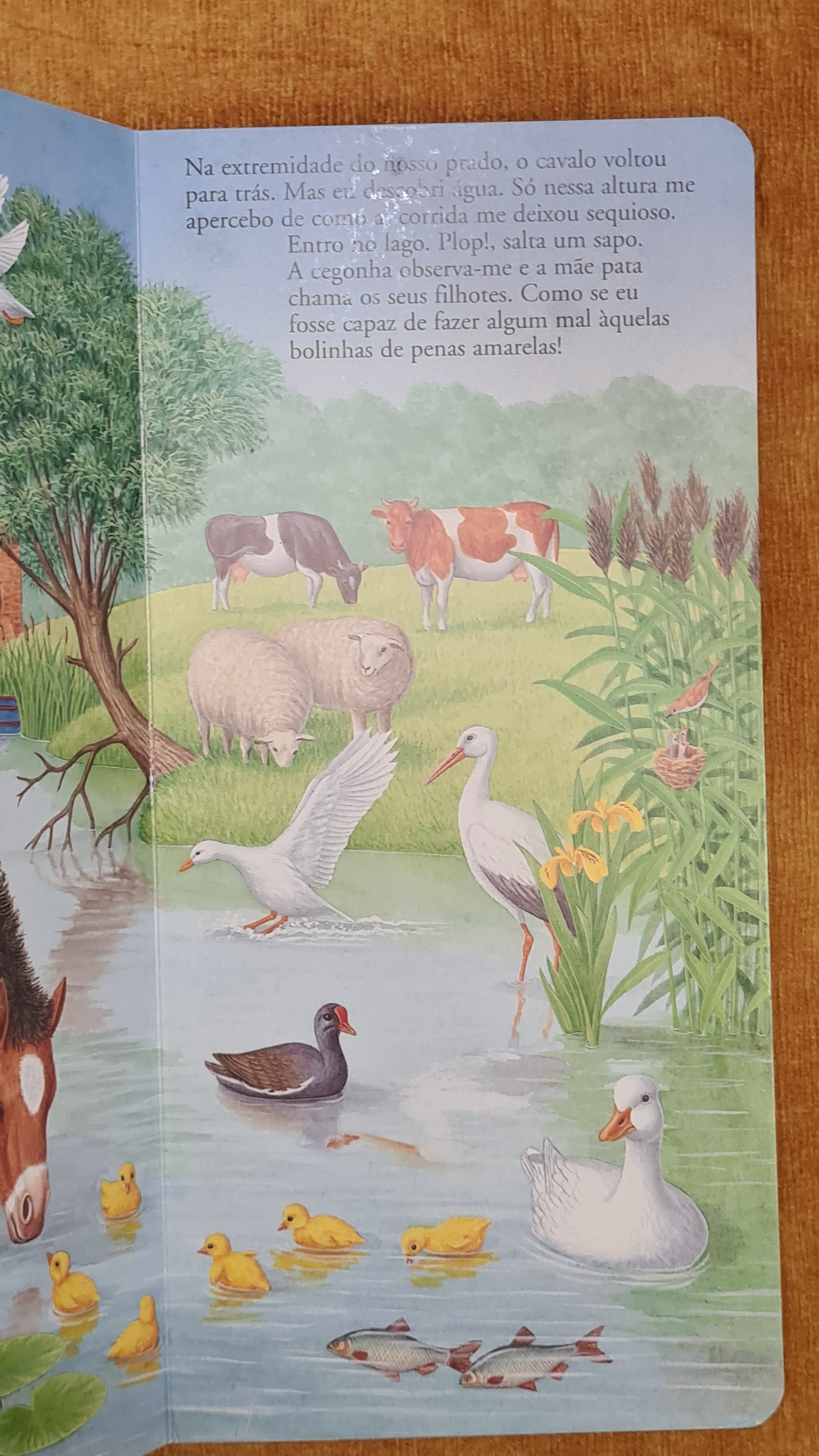 The Little Horse's Story