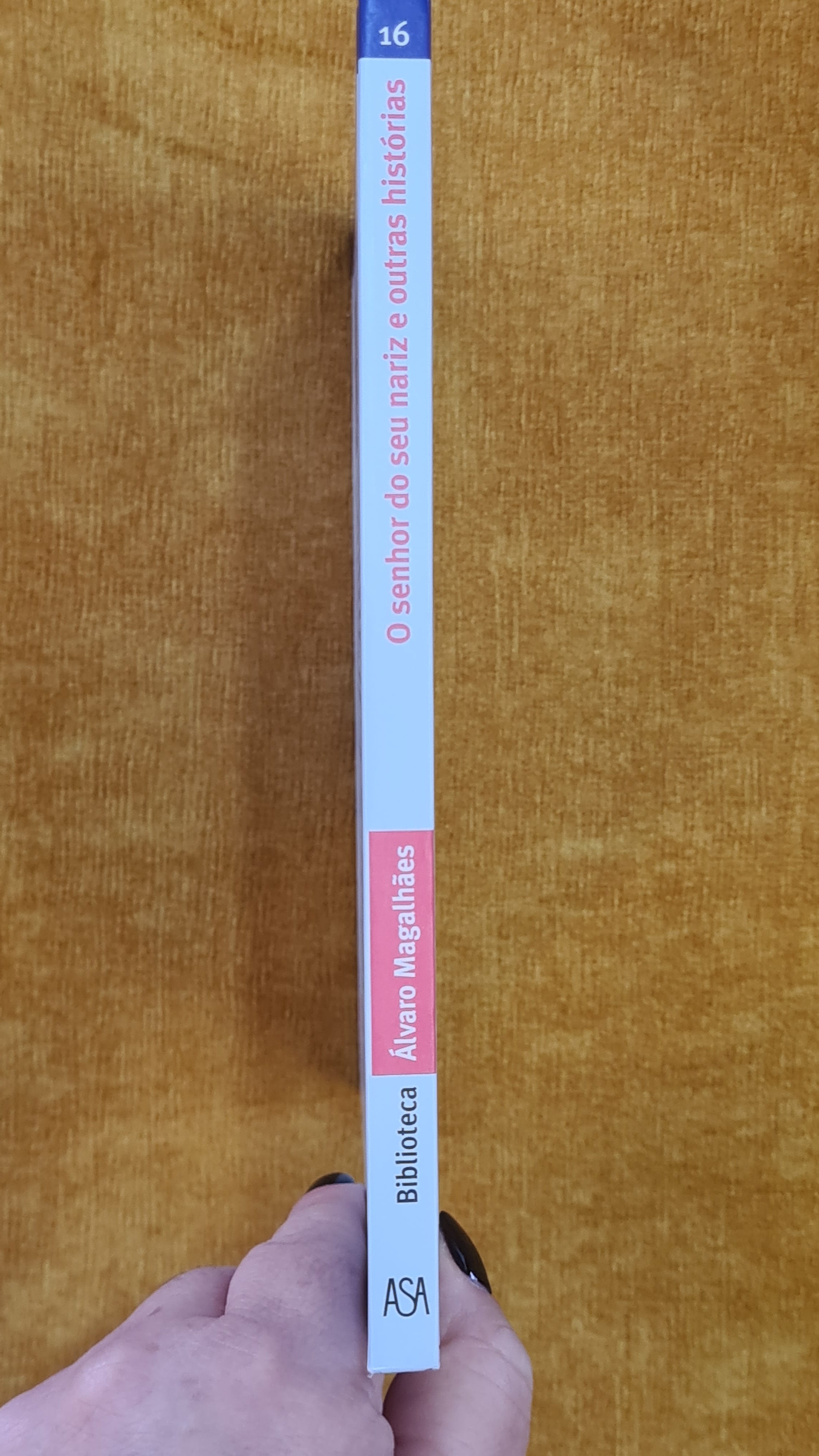 The Lord of Your Nose and Other Stories - Álvaro Magalhães Library 16